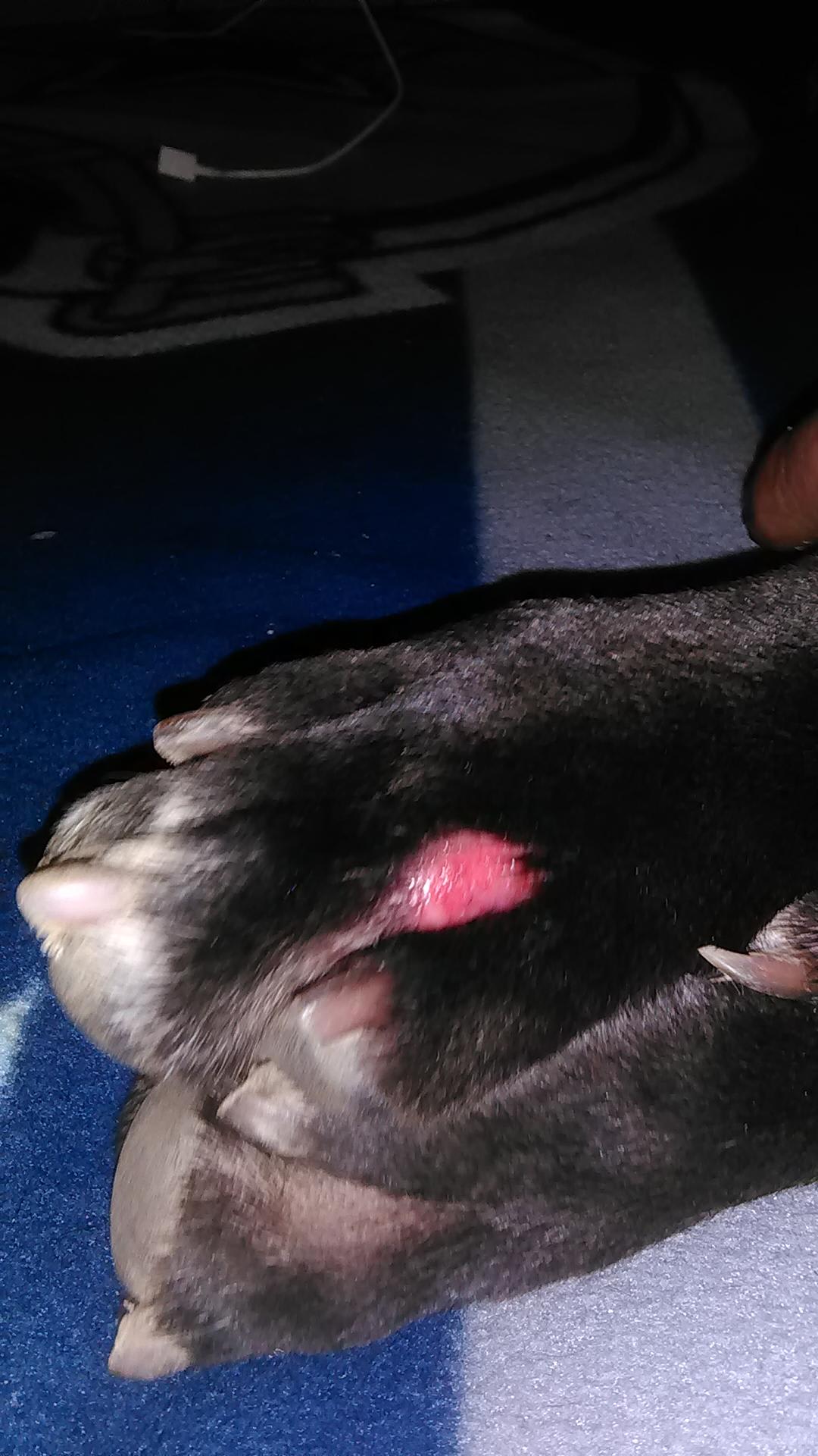 Question details sensitive content