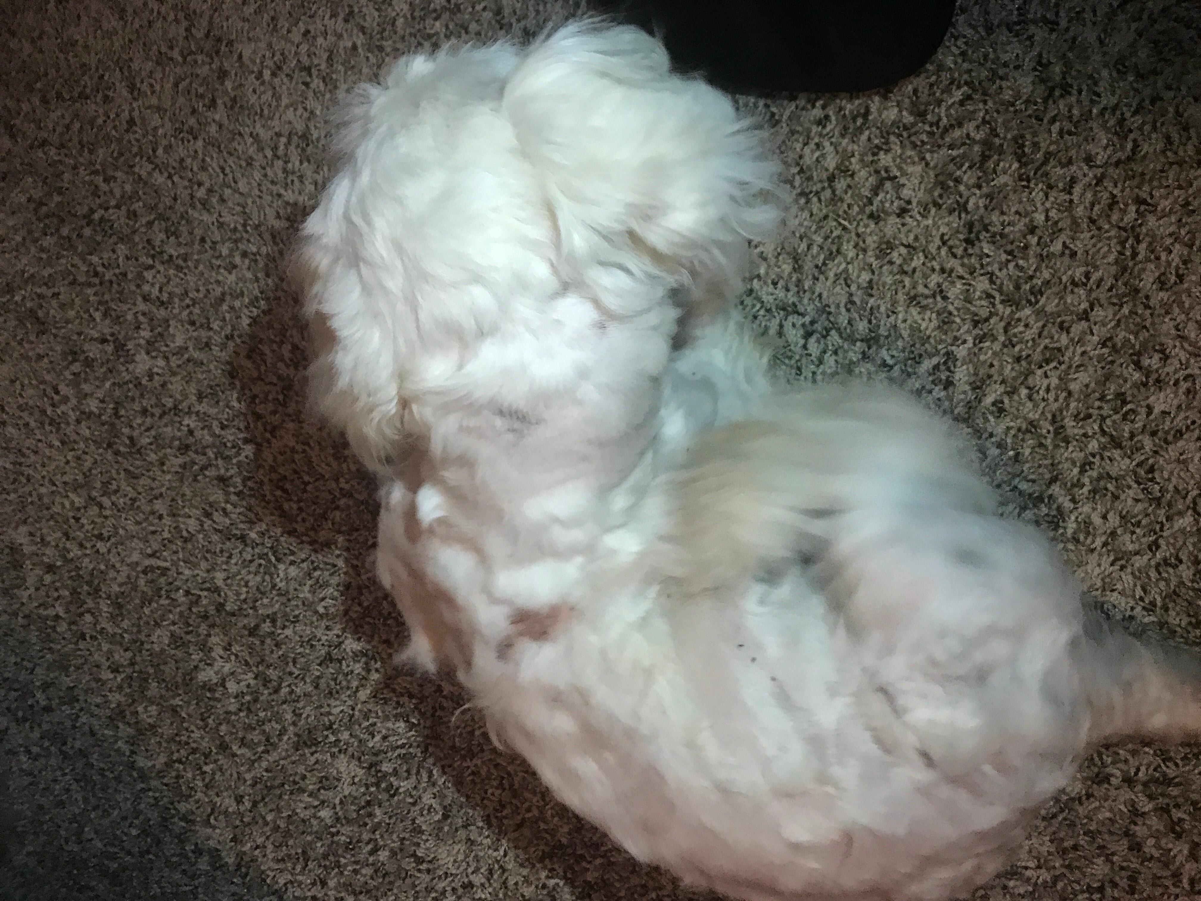 Question details sensitive content