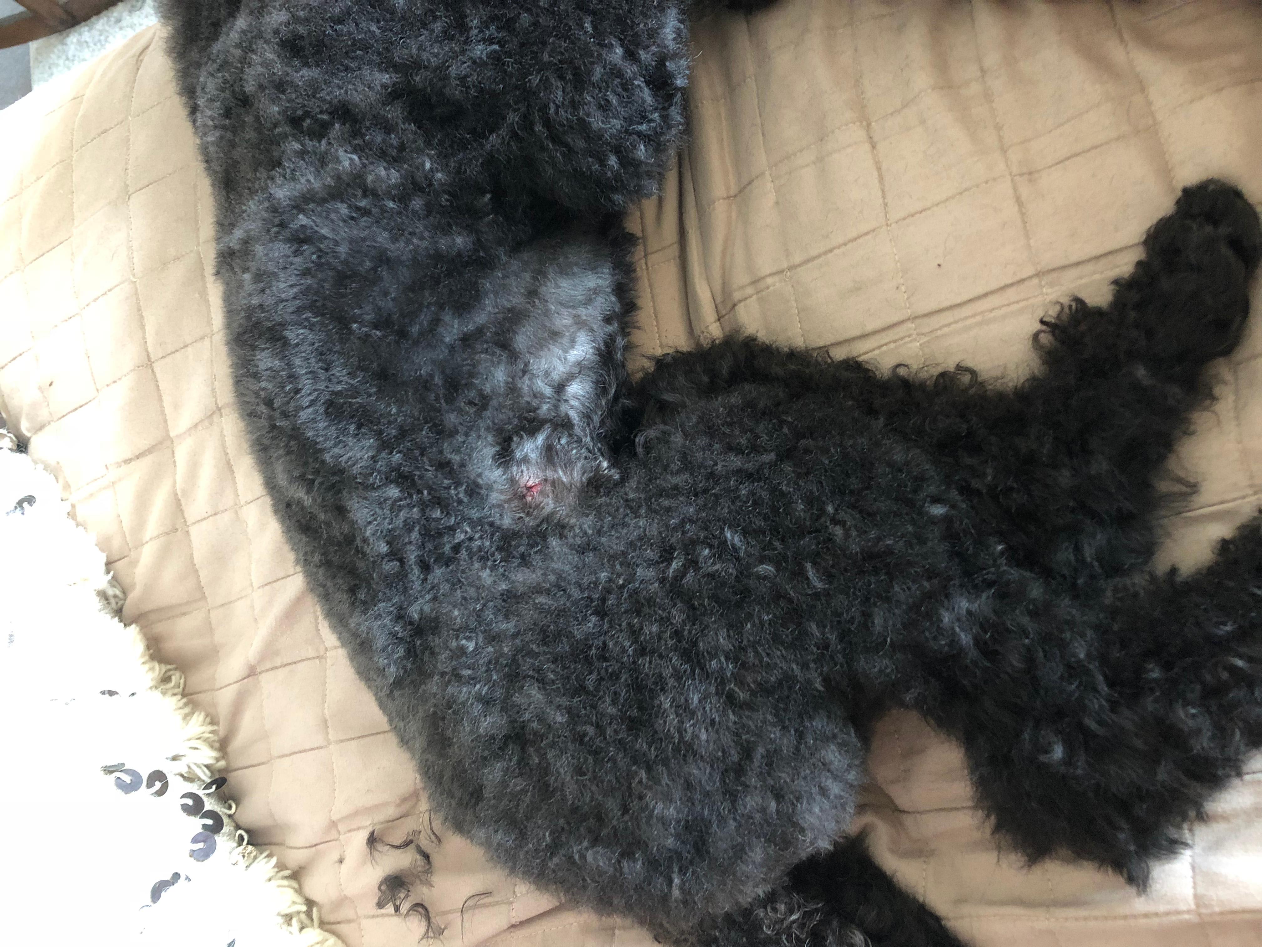 Question details sensitive content