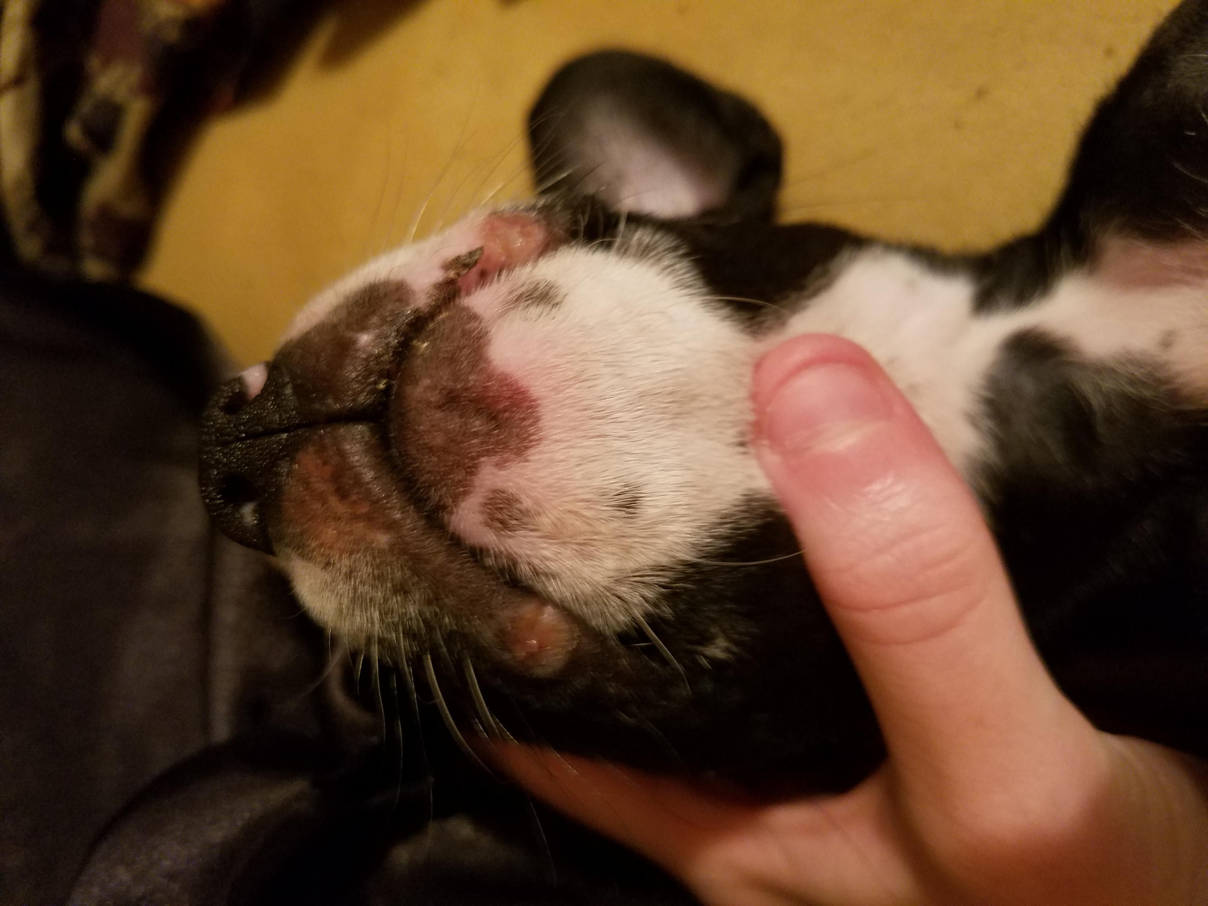 Question details sensitive content