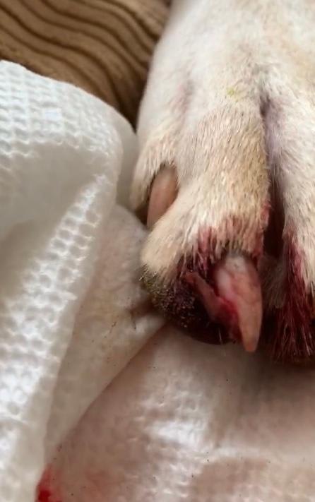 Question details sensitive content