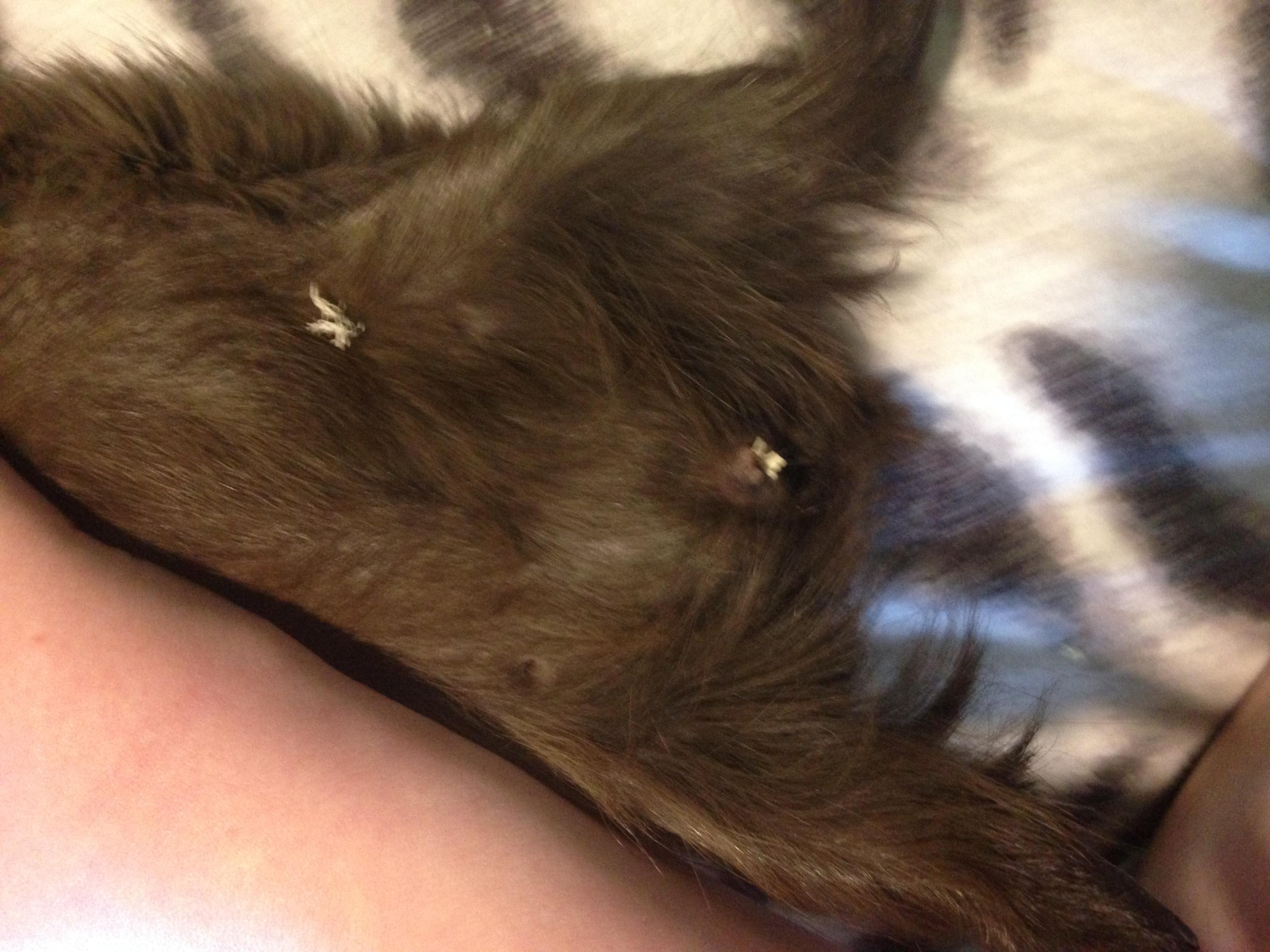 Question details sensitive content