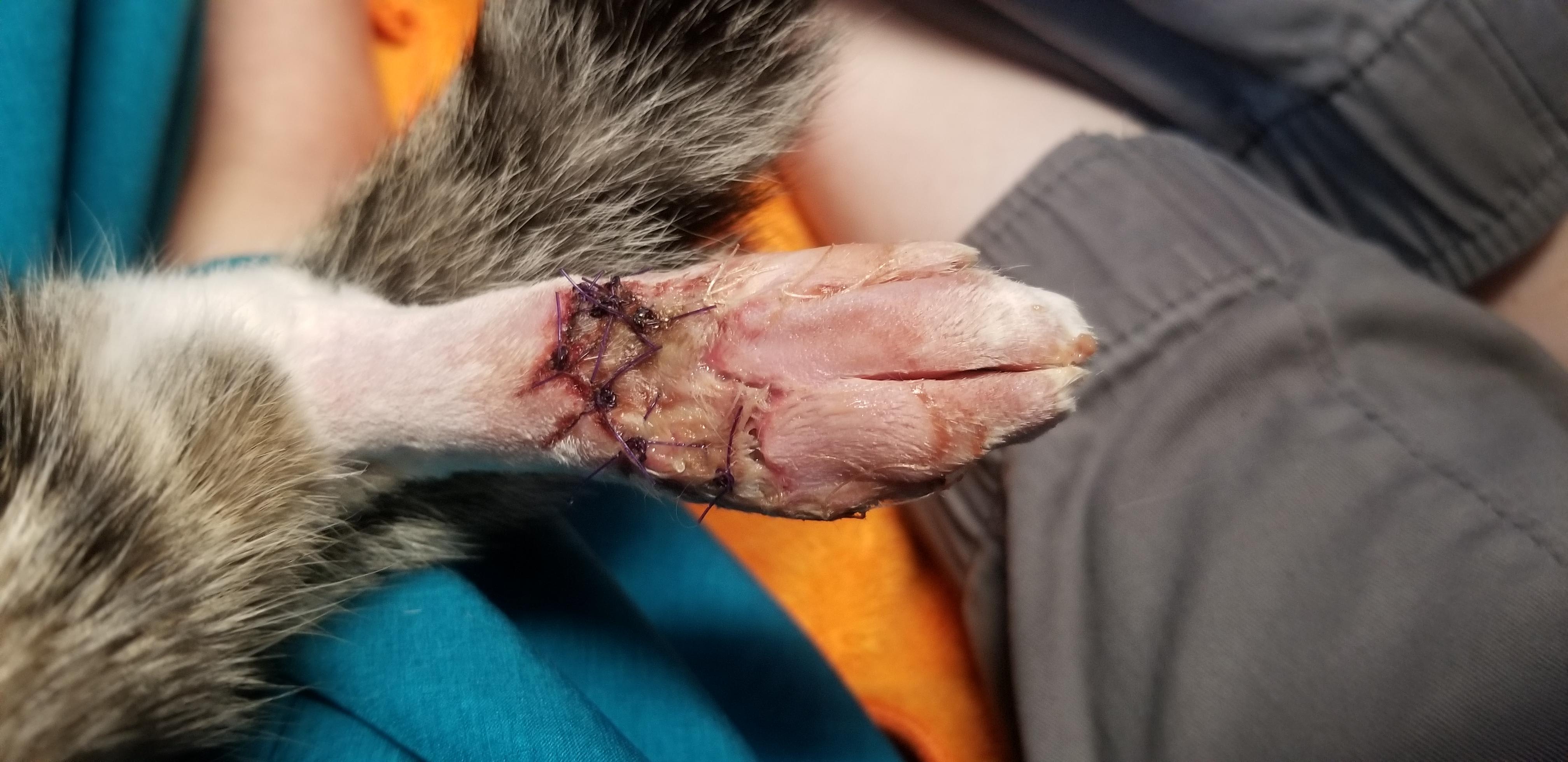 Question details sensitive content