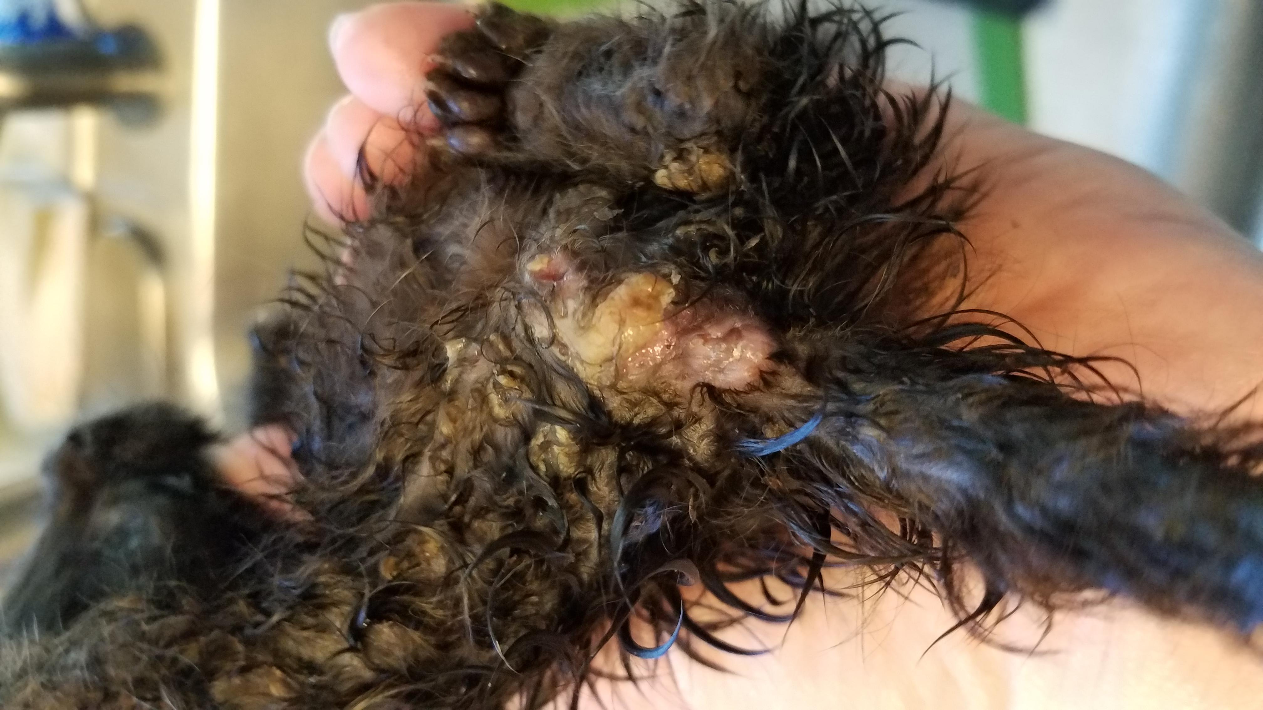 Question details sensitive content