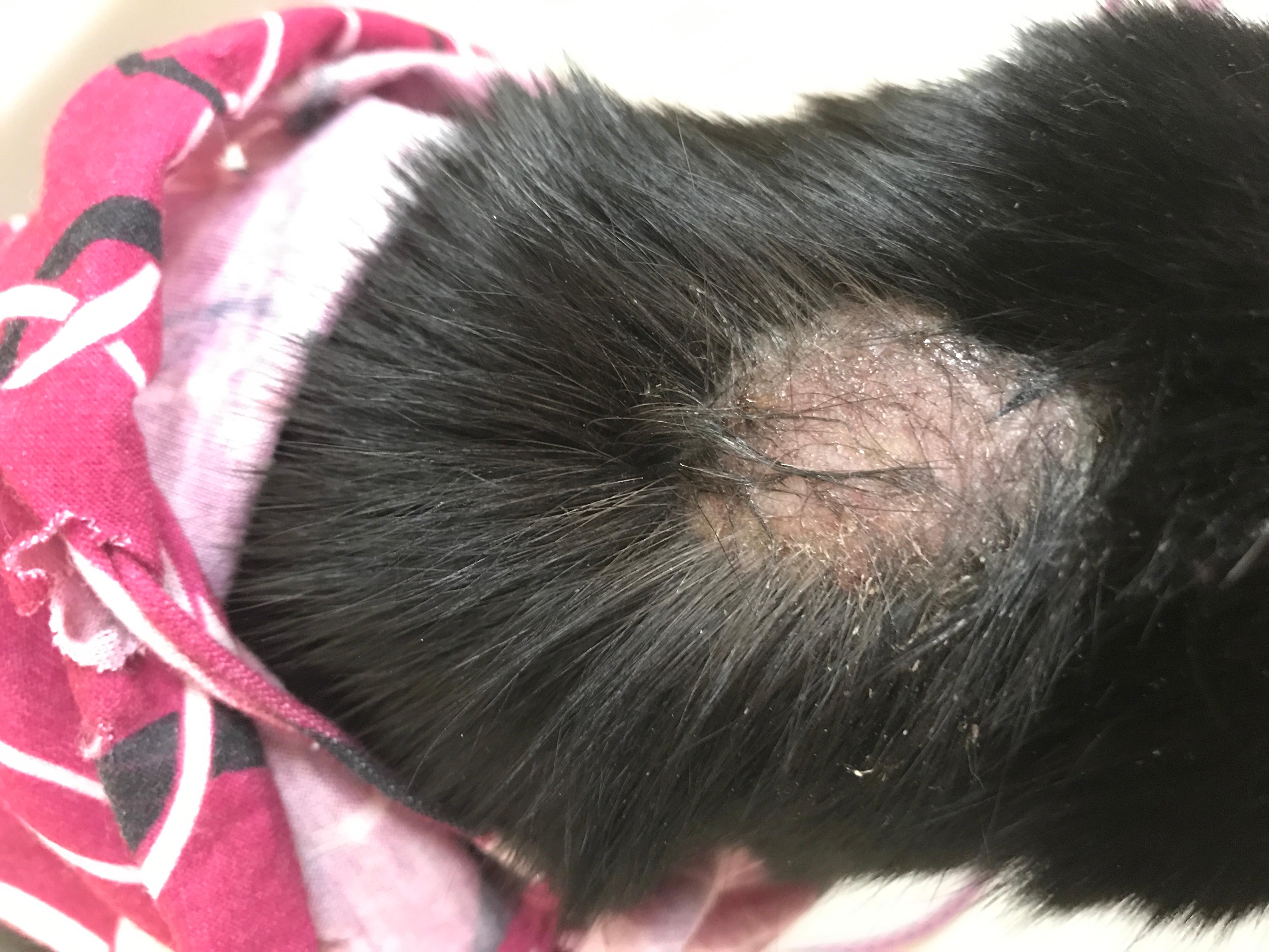 Question details sensitive content