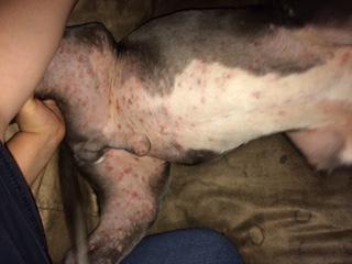 Question details sensitive content