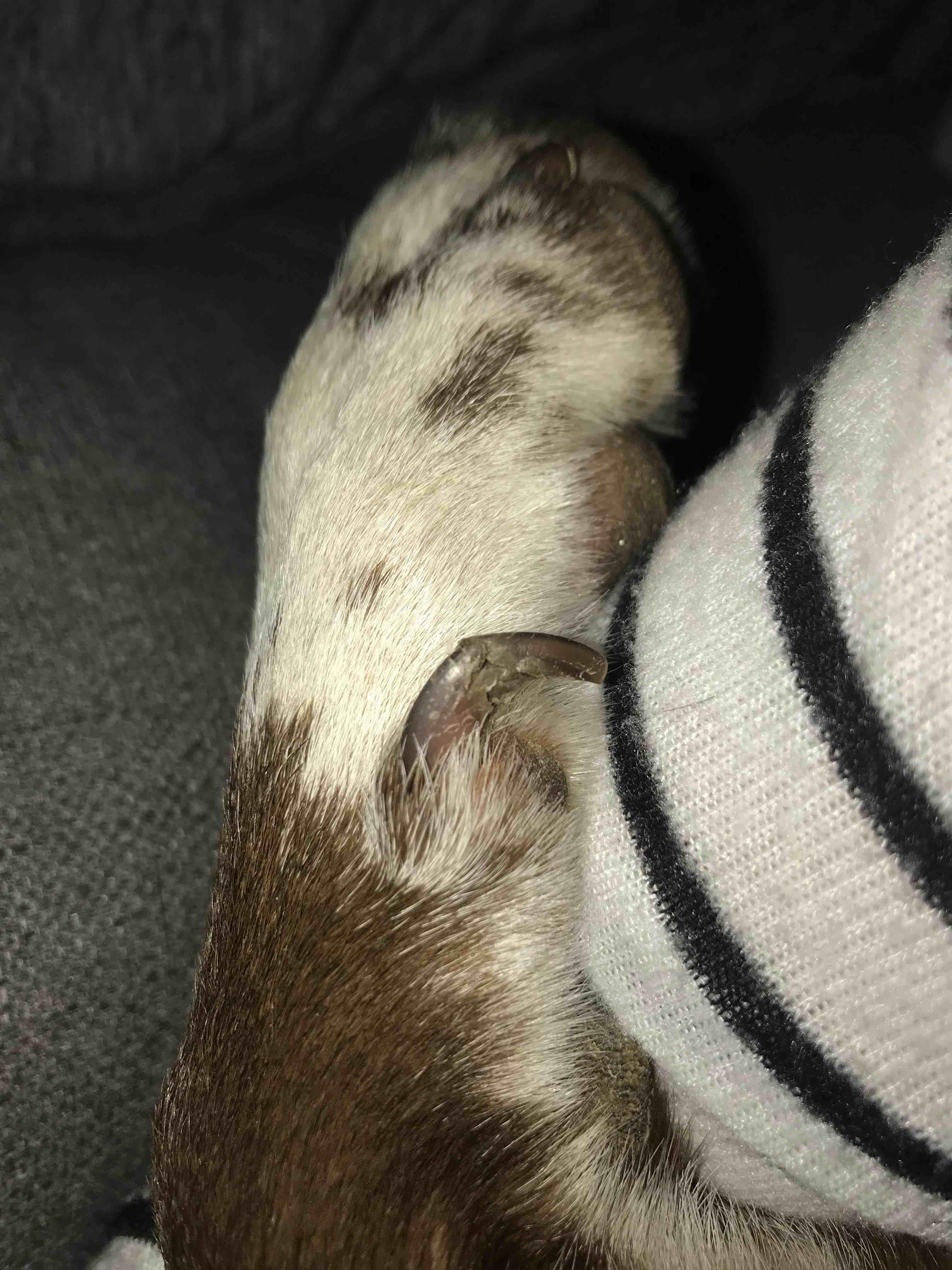 Question details sensitive content