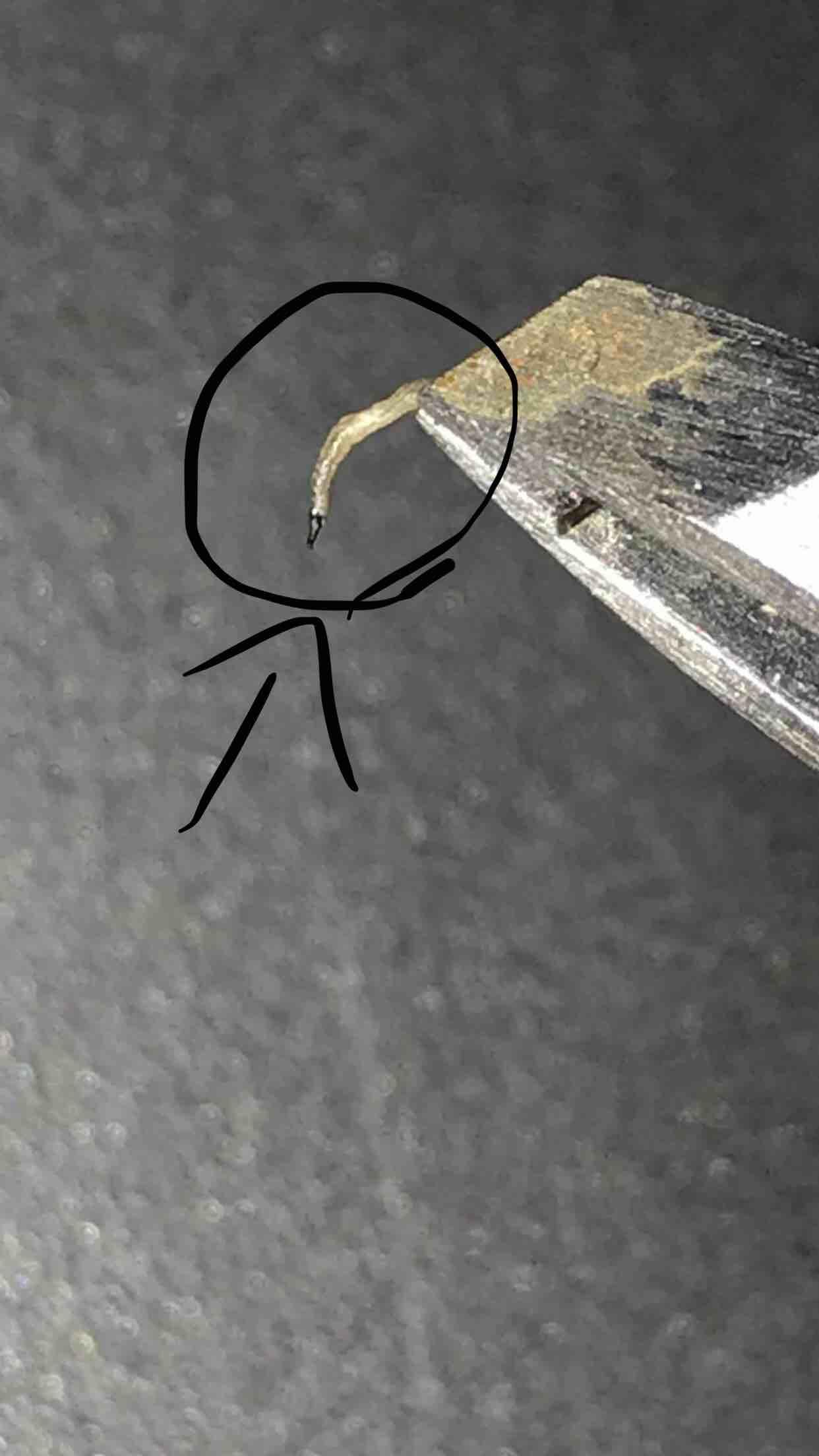 Question details sensitive content