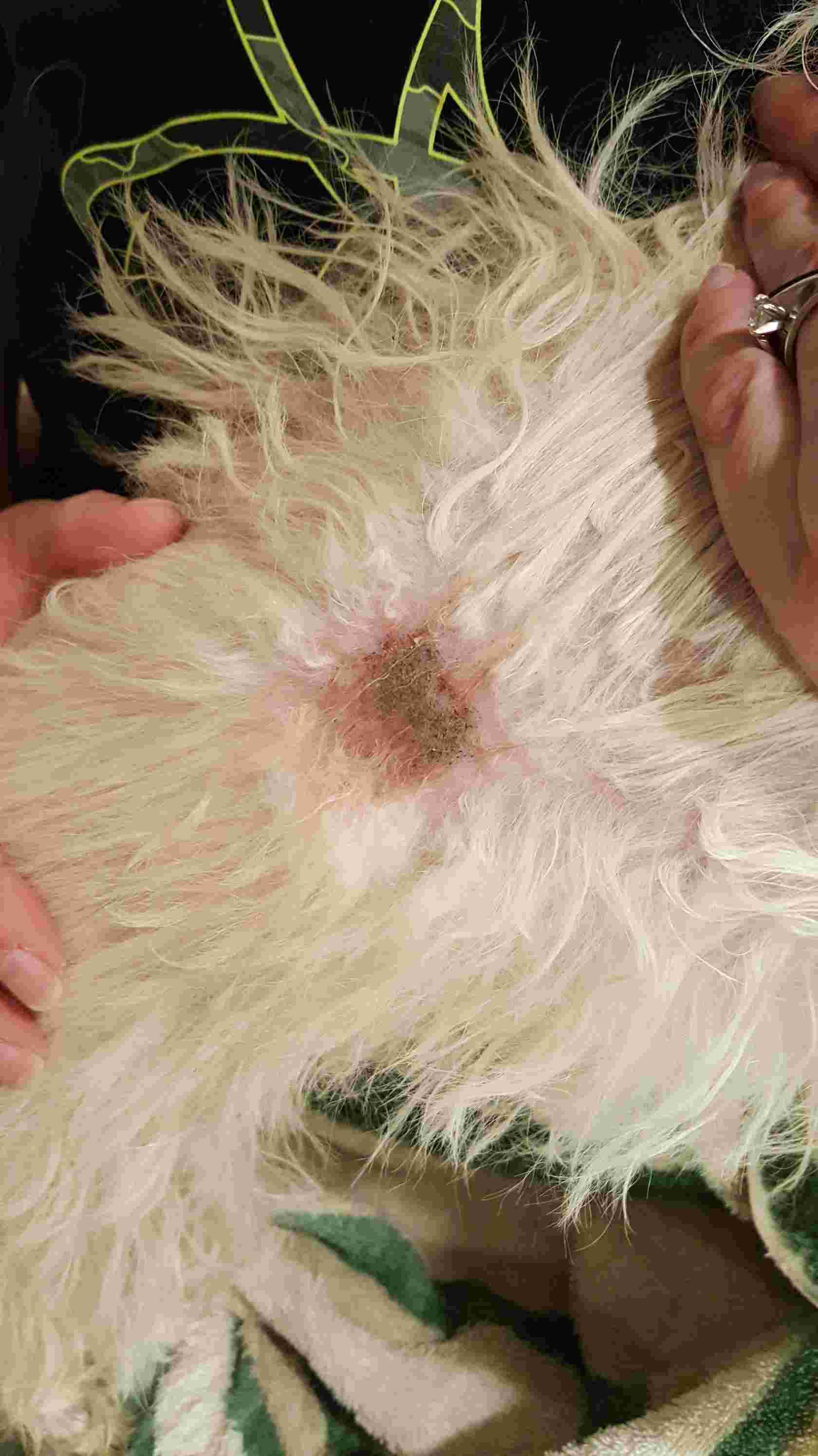 Question details sensitive content