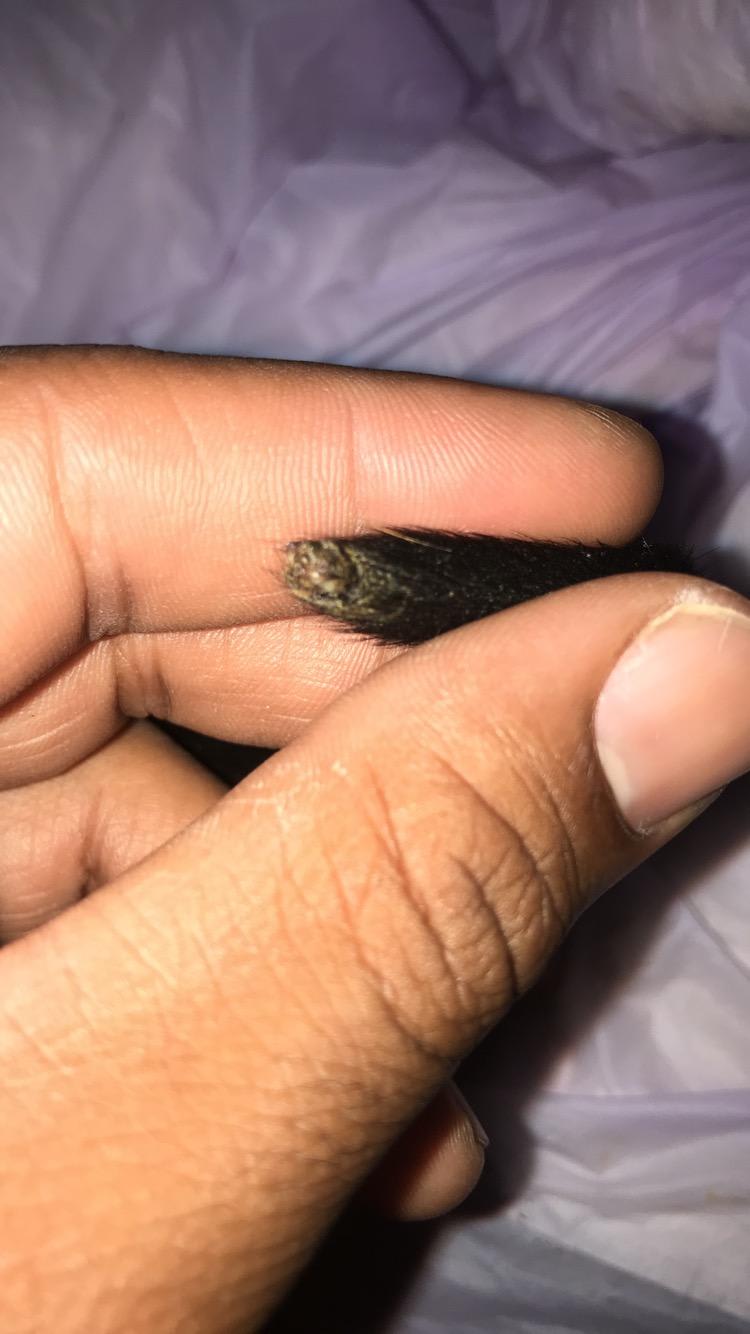 Question details sensitive content