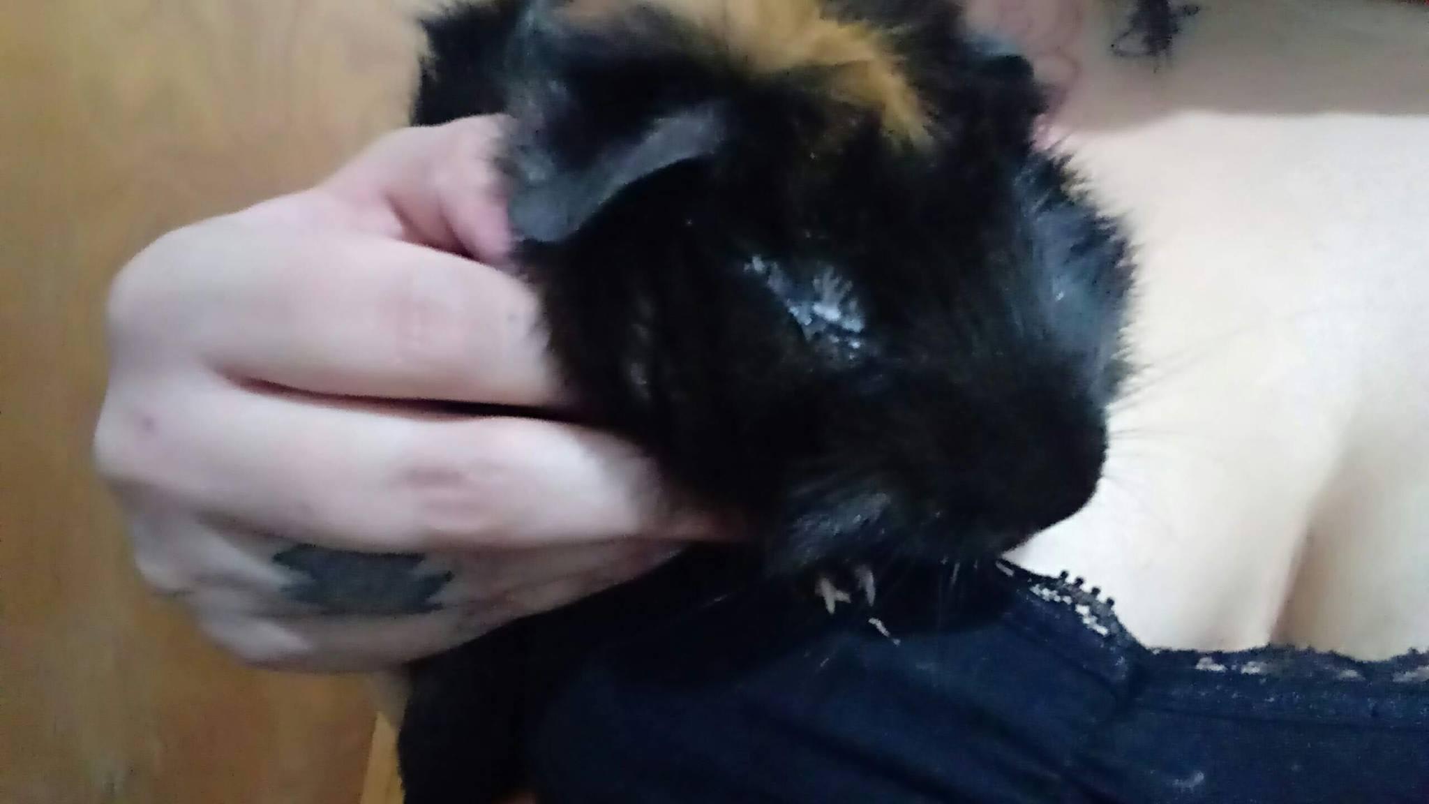 Question details sensitive content