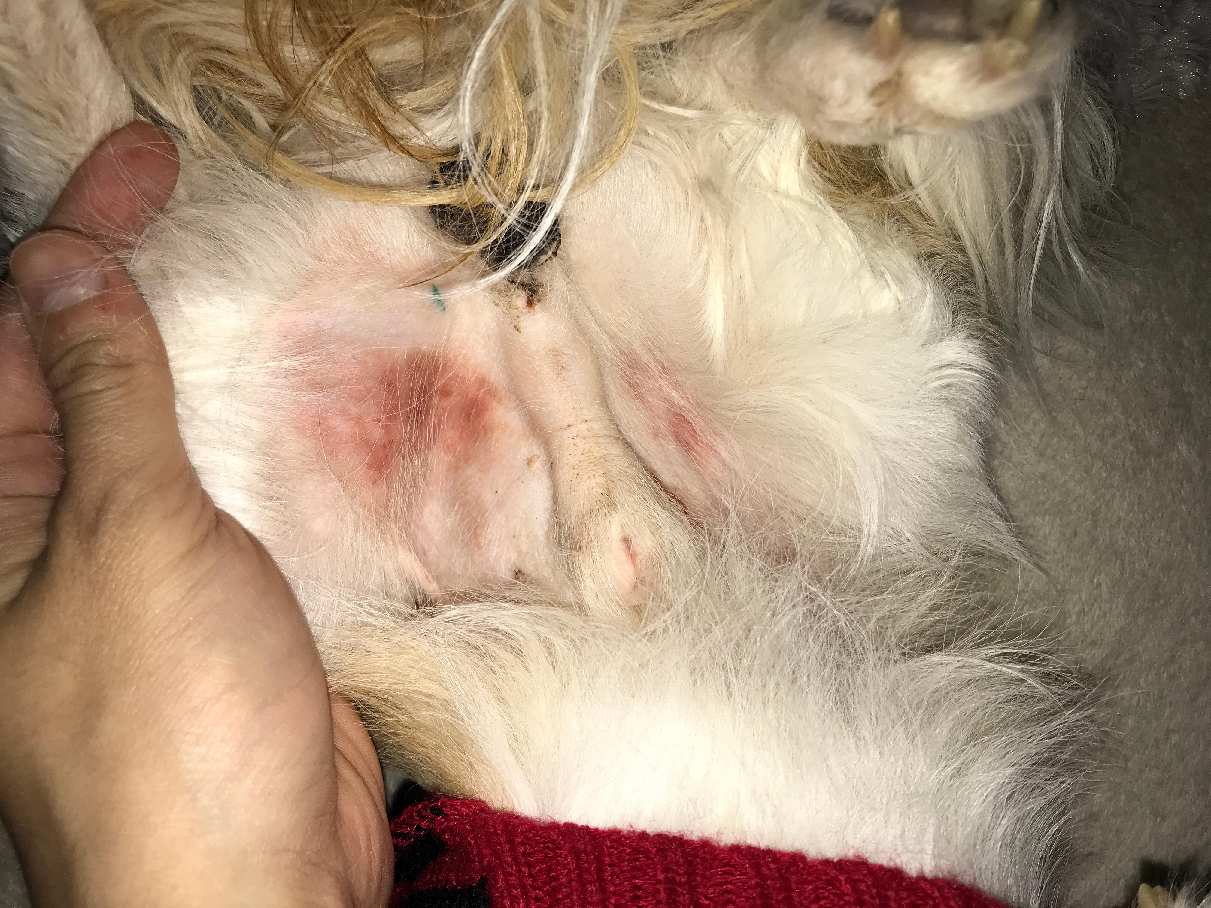 Question details sensitive content