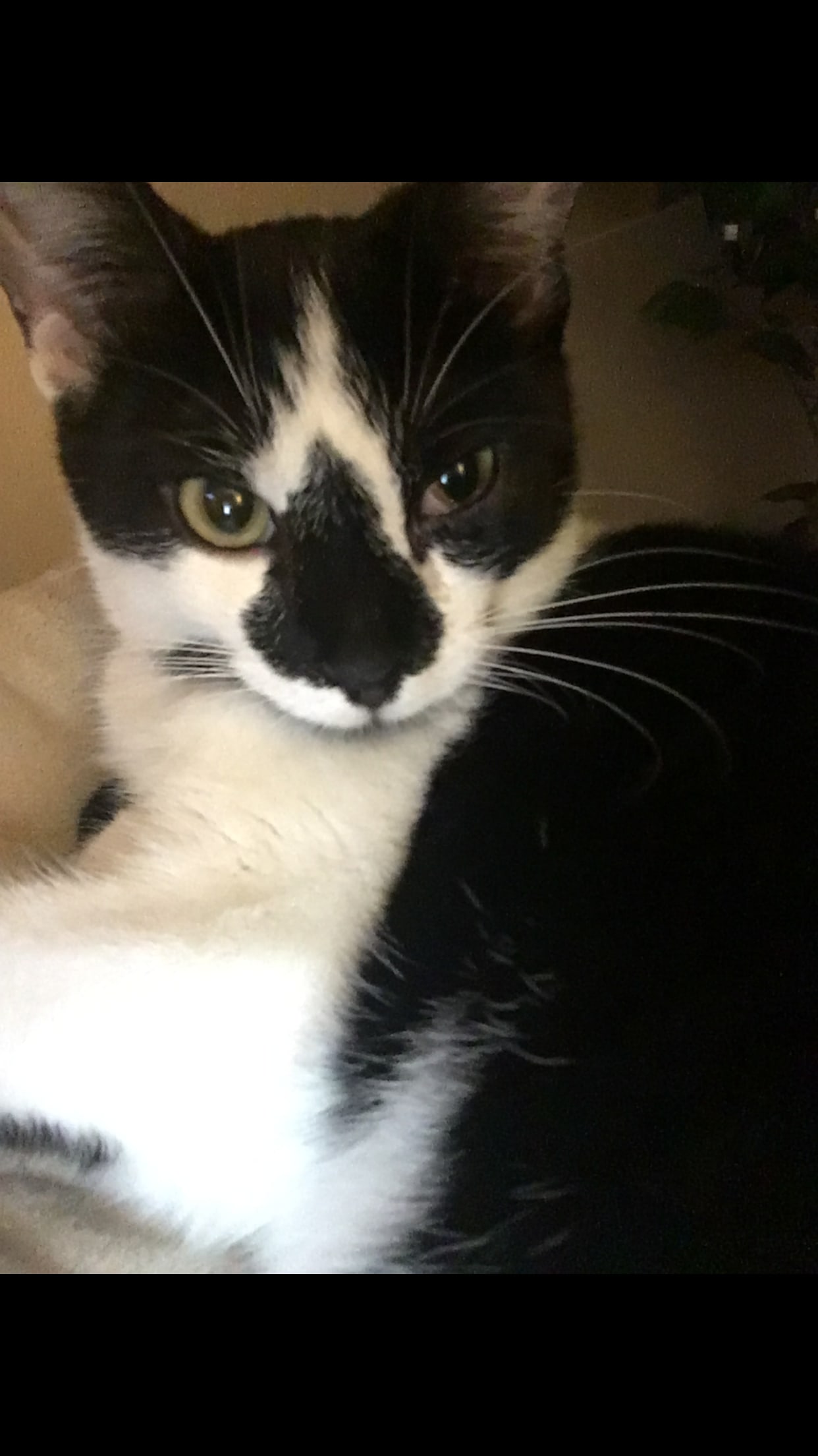 Question details sensitive content