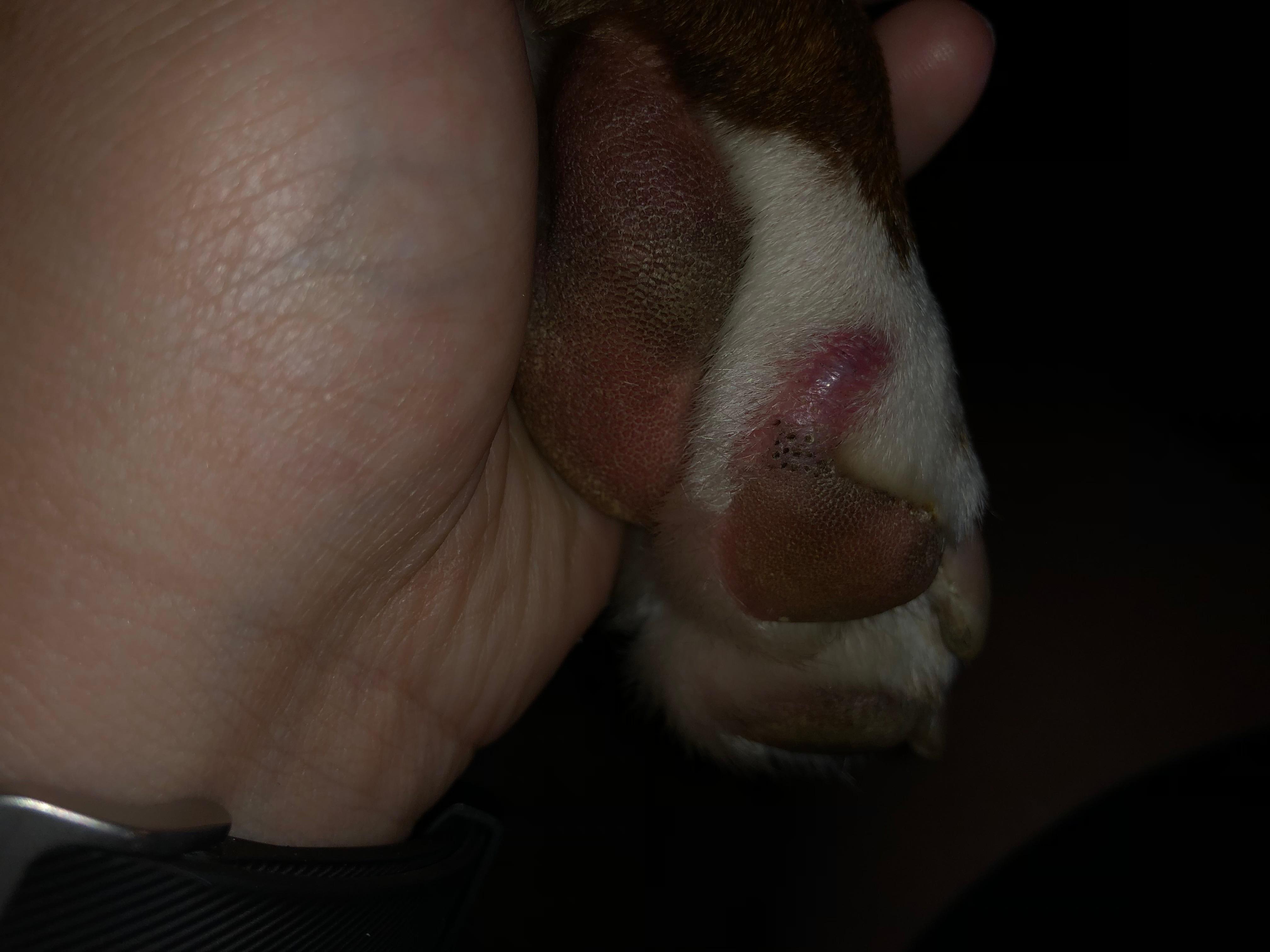 Question details sensitive content