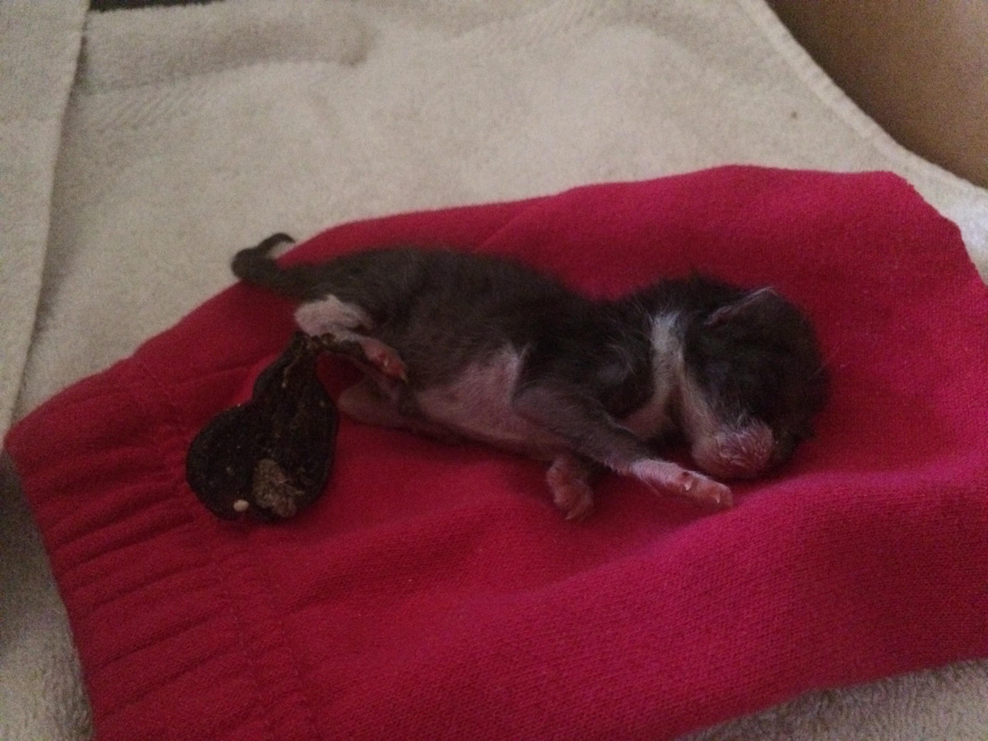 Question details sensitive content