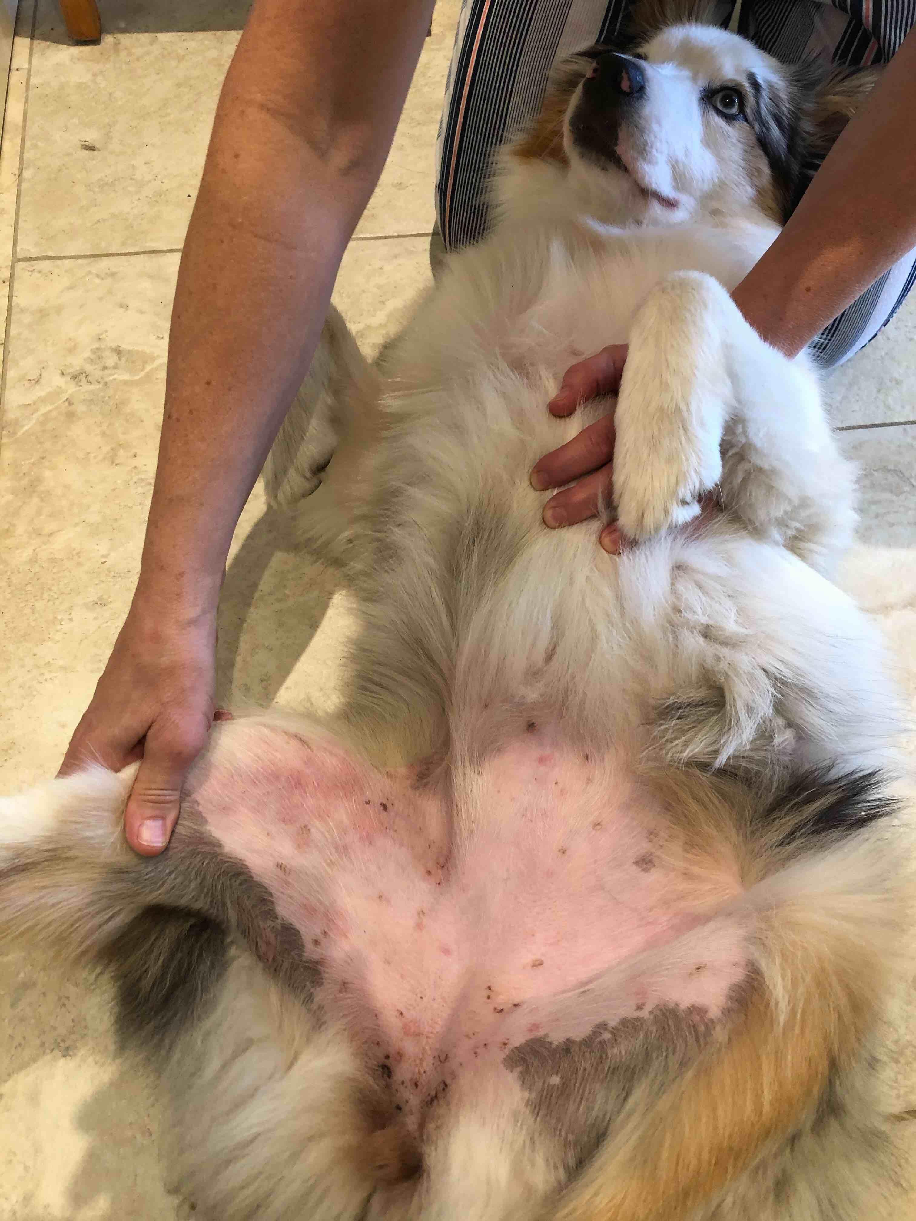 Question details sensitive content