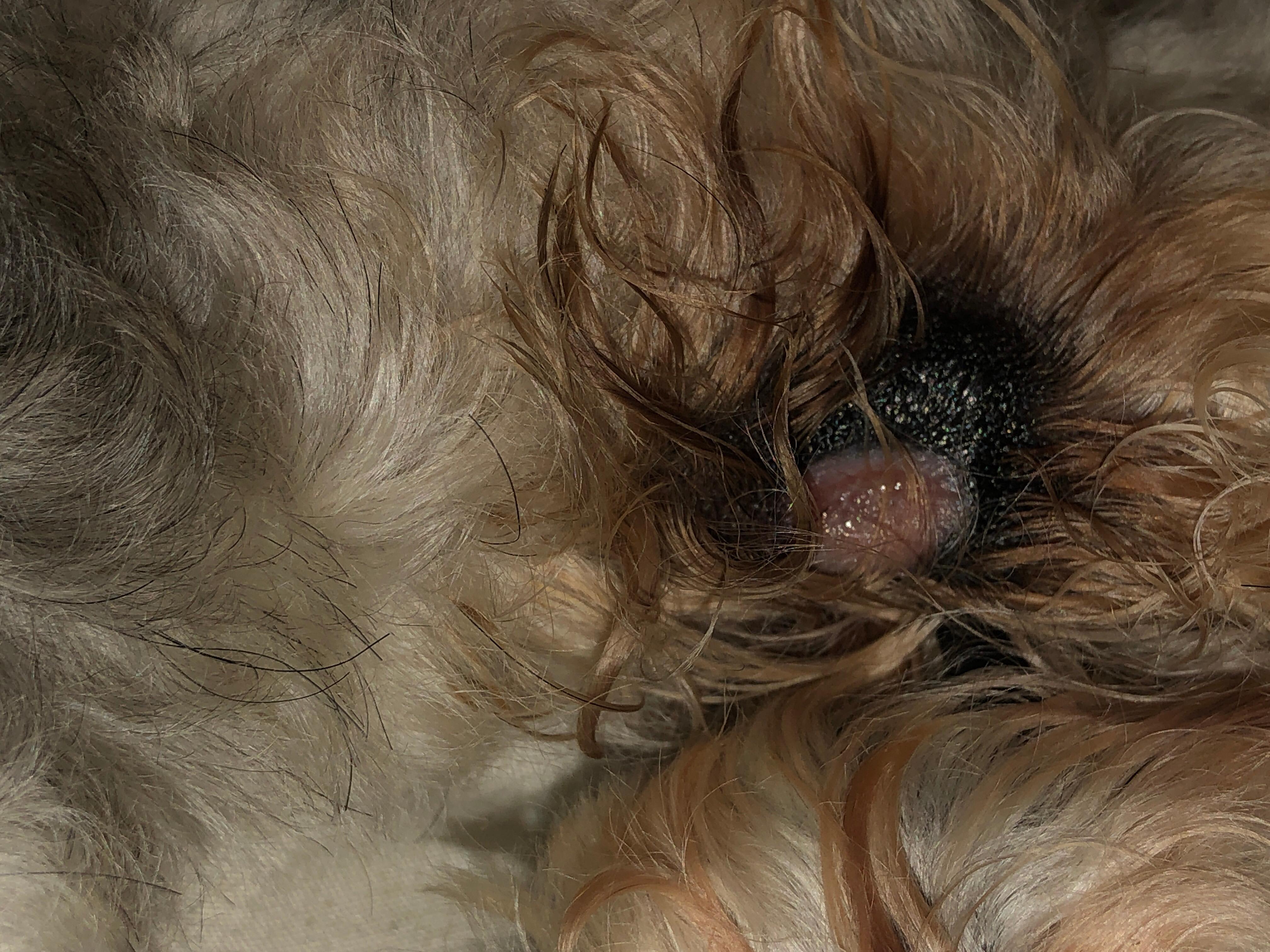 Question details sensitive content