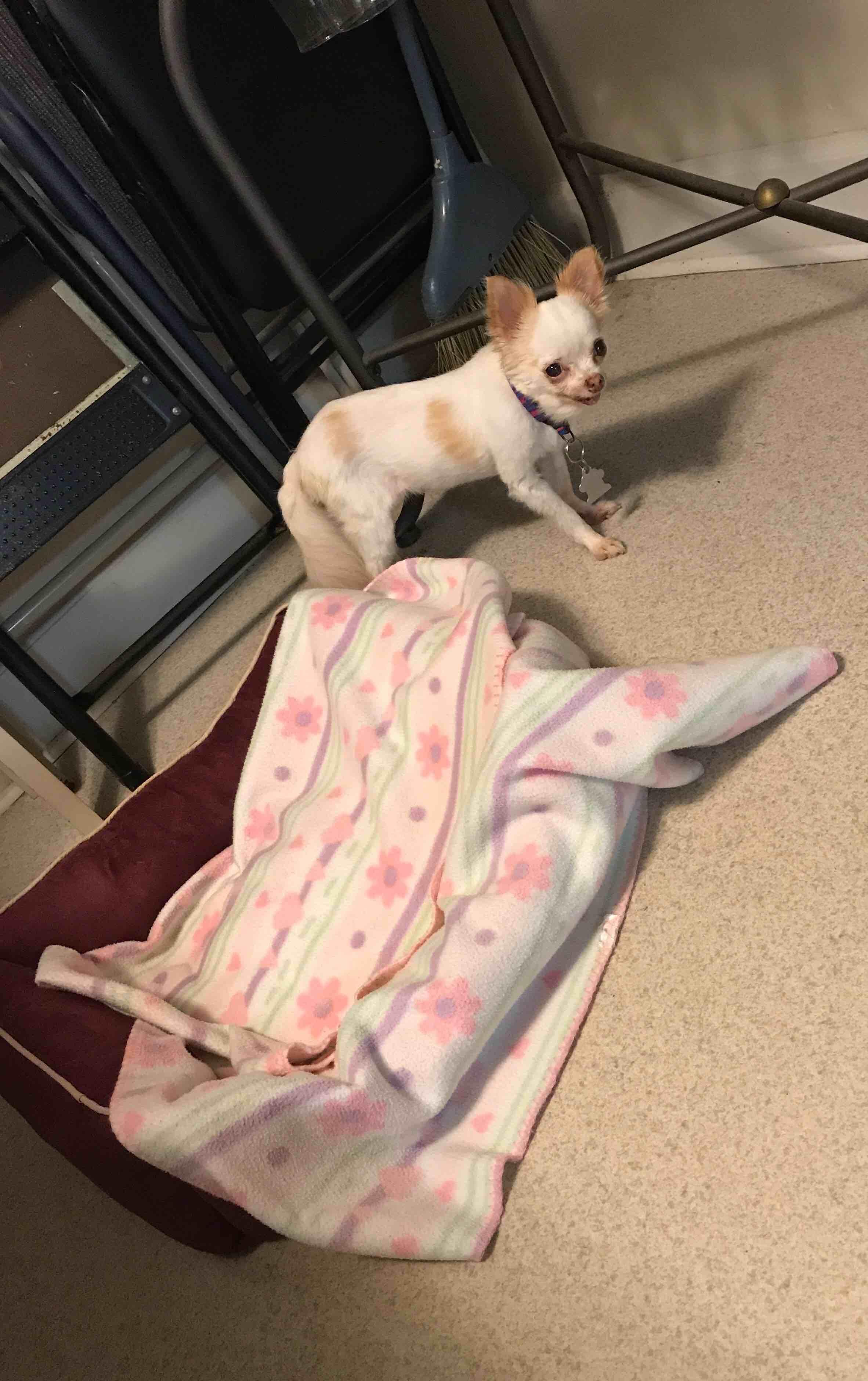 Question details sensitive content