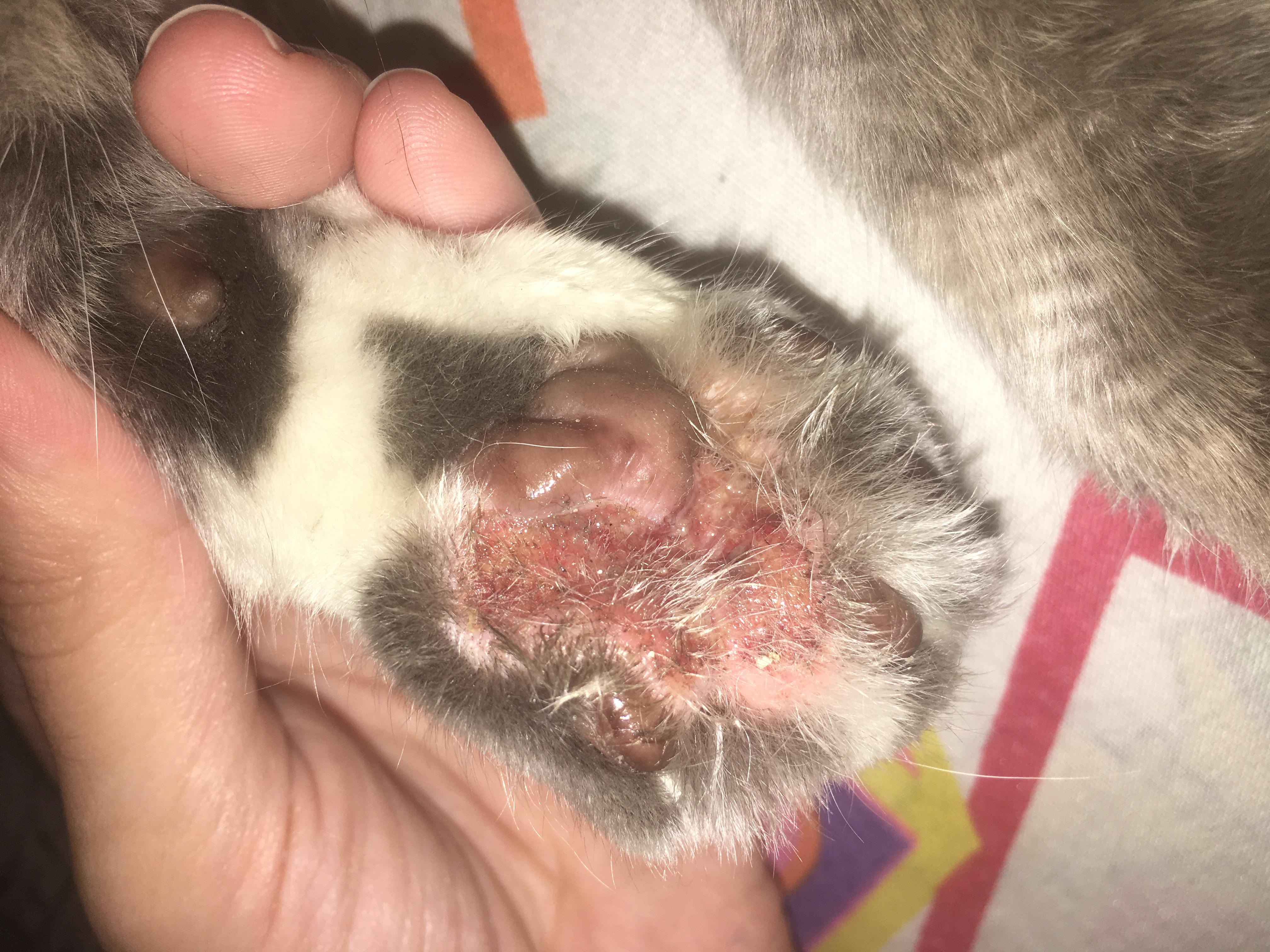 Question details sensitive content