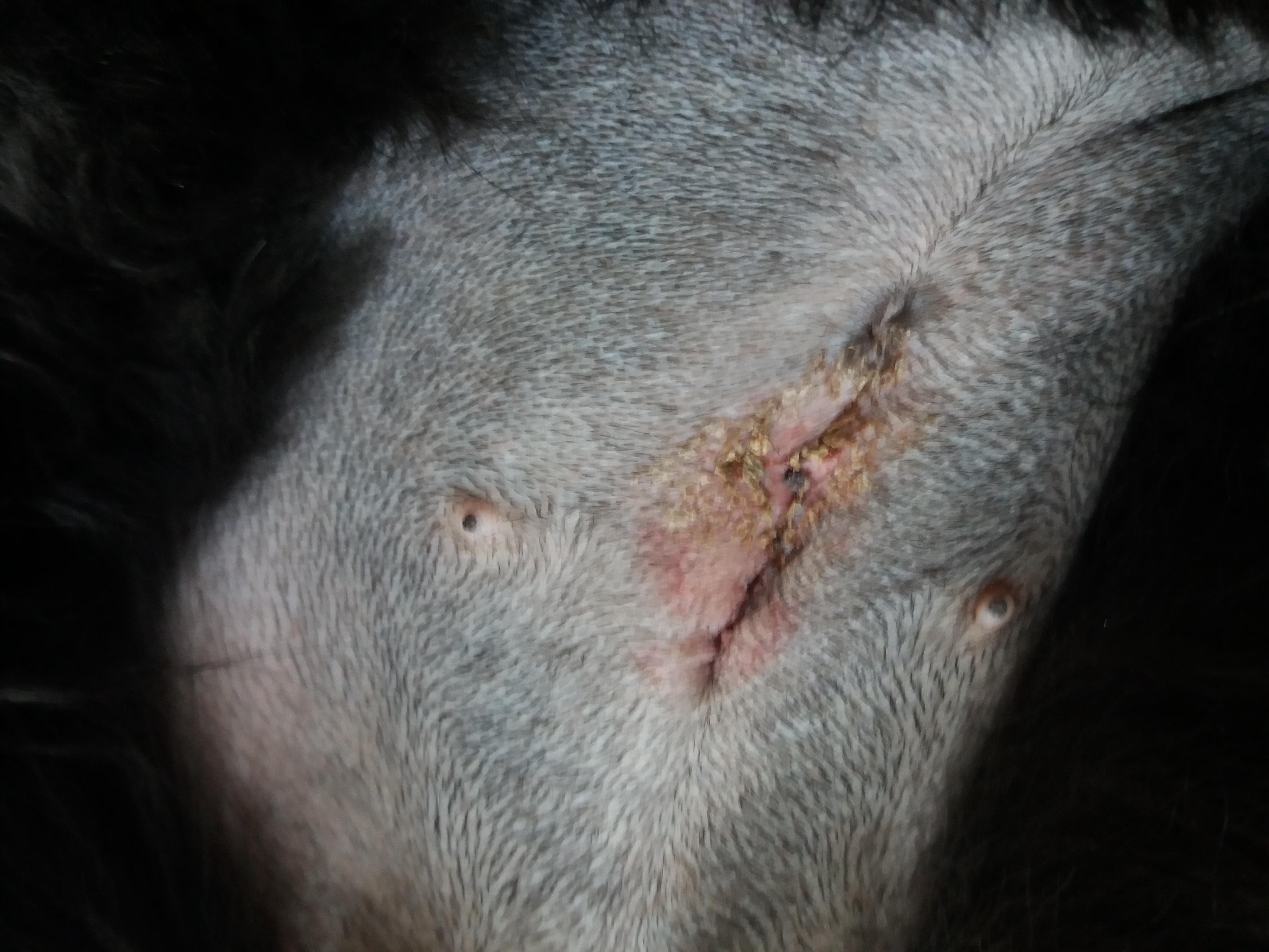 Question details sensitive content