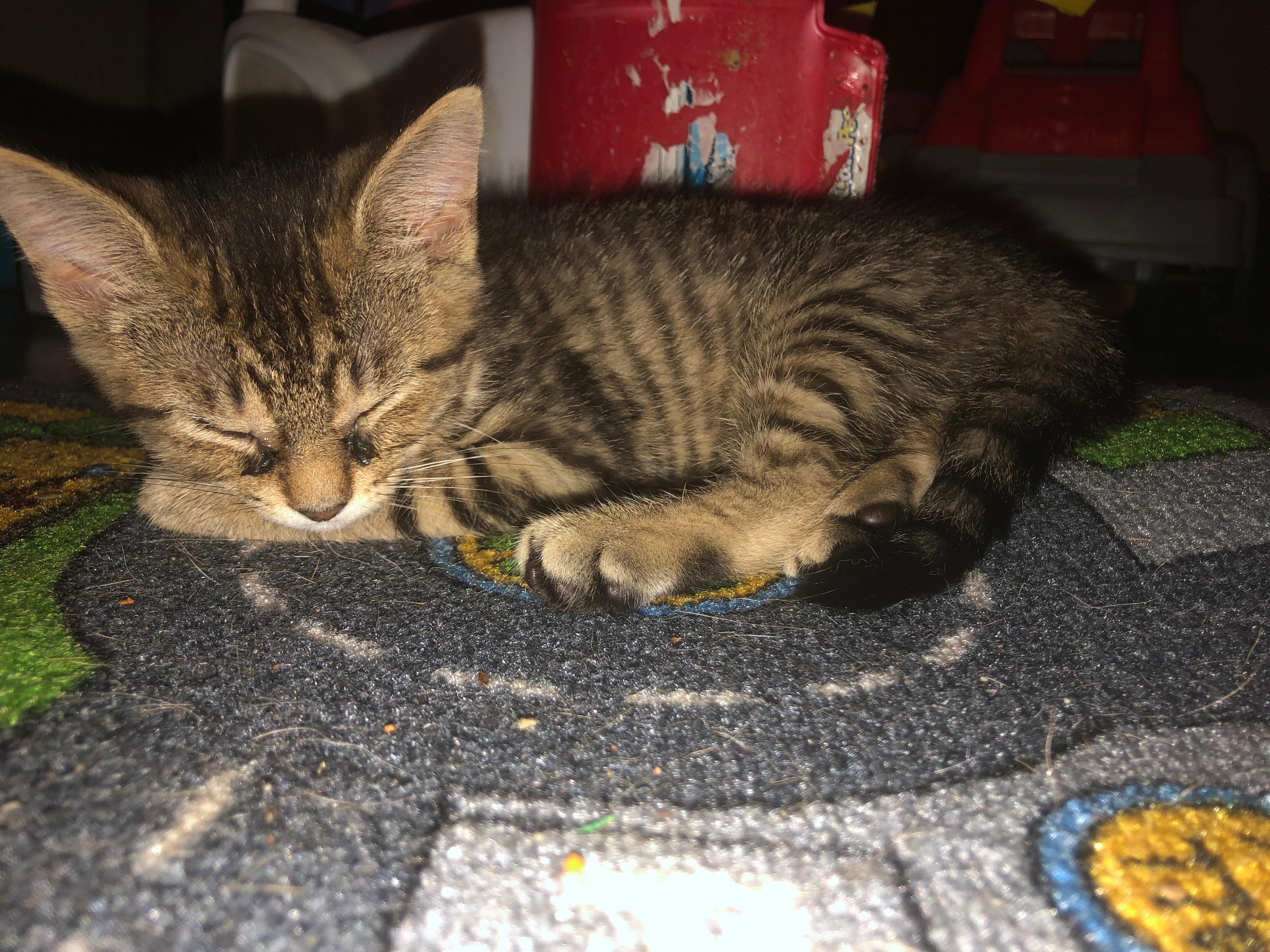 Question details sensitive content