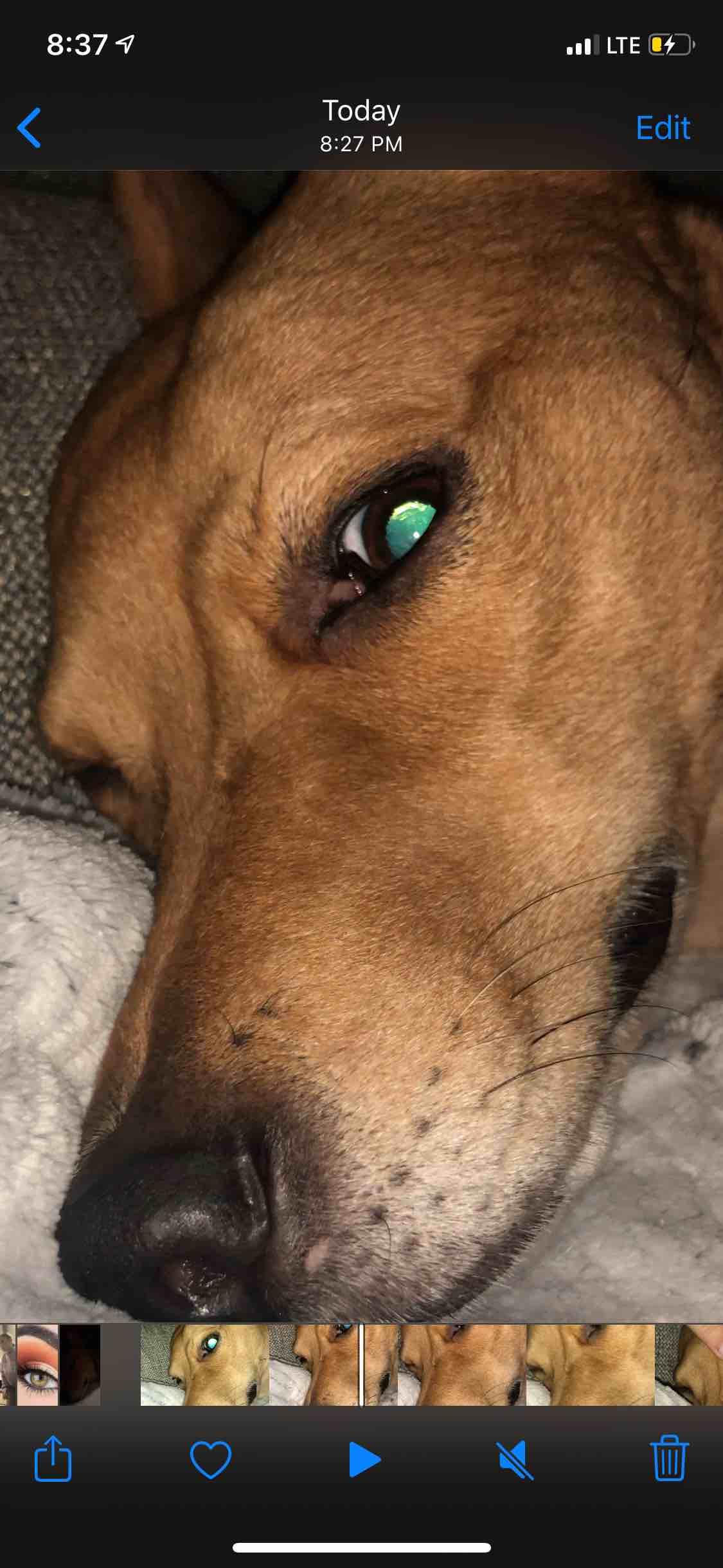 Question details sensitive content