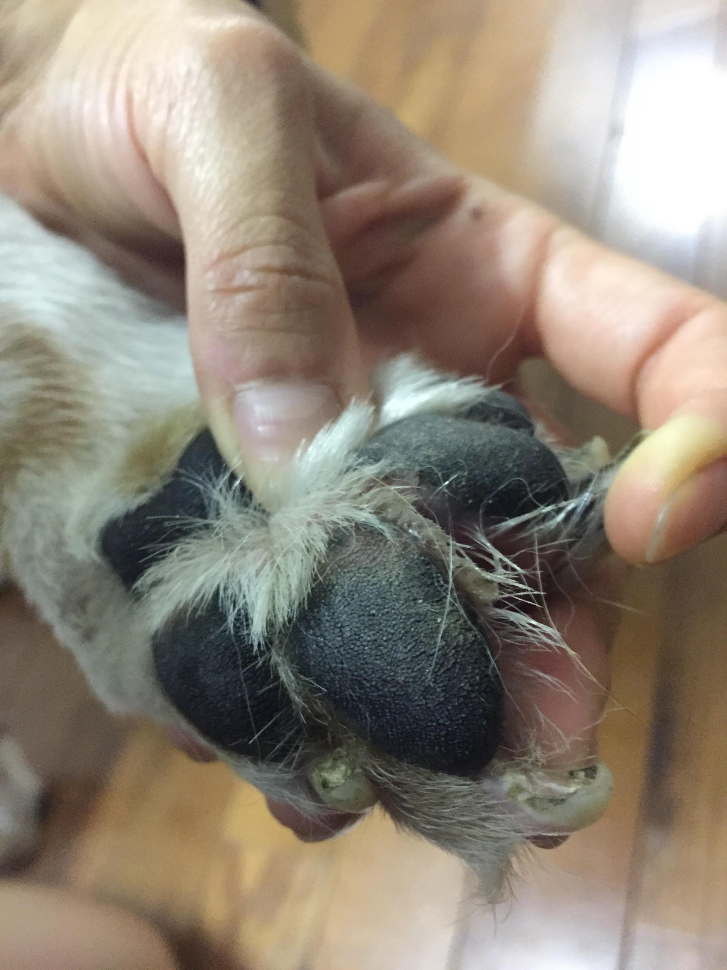 Question details sensitive content