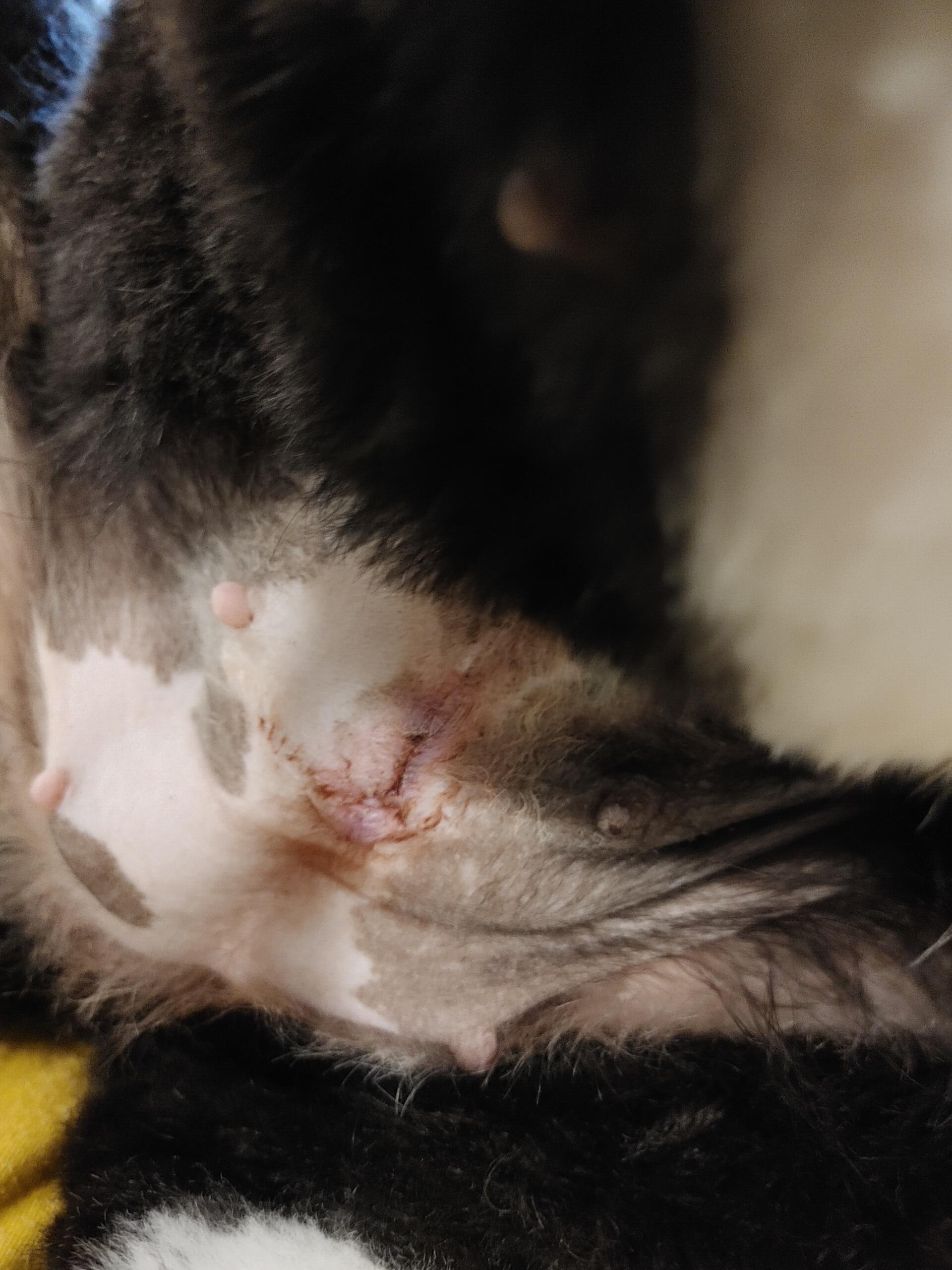 Question details sensitive content