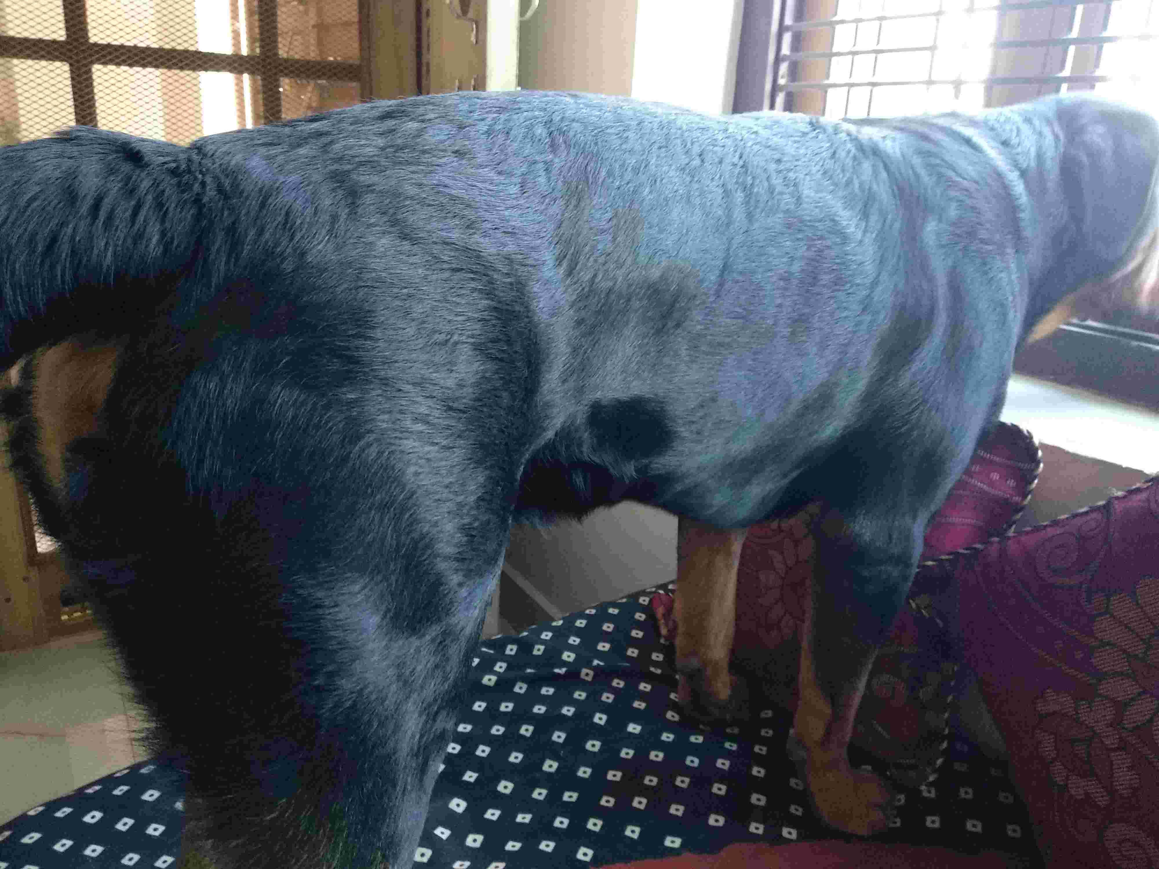 Question details sensitive content