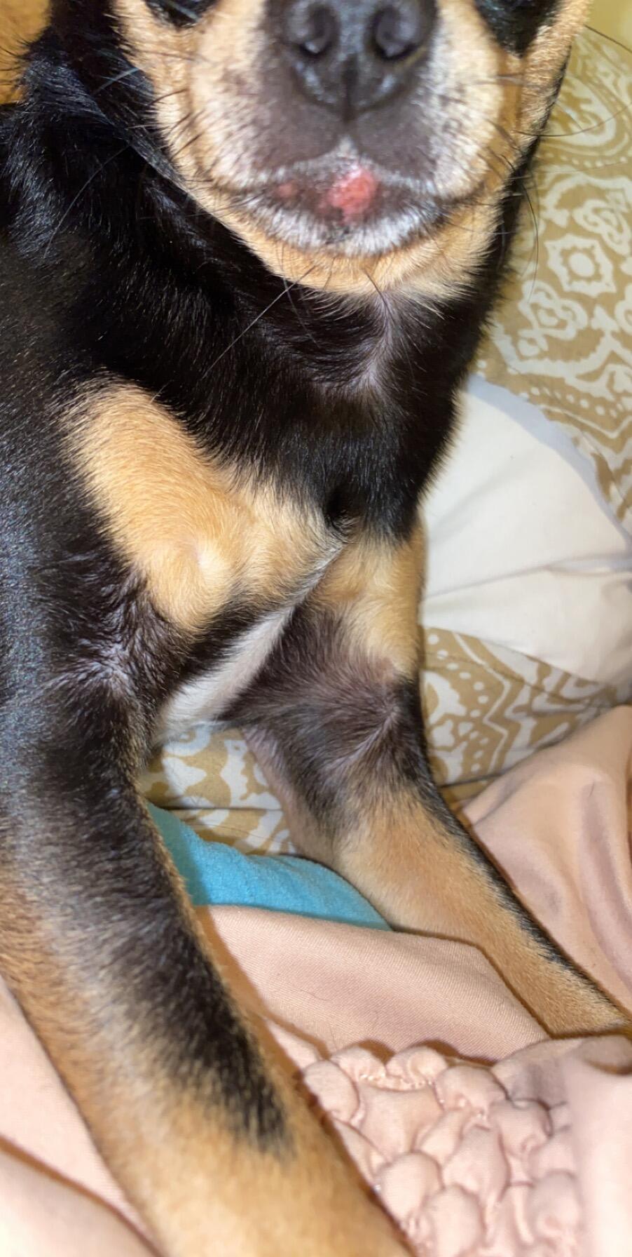 Question details sensitive content