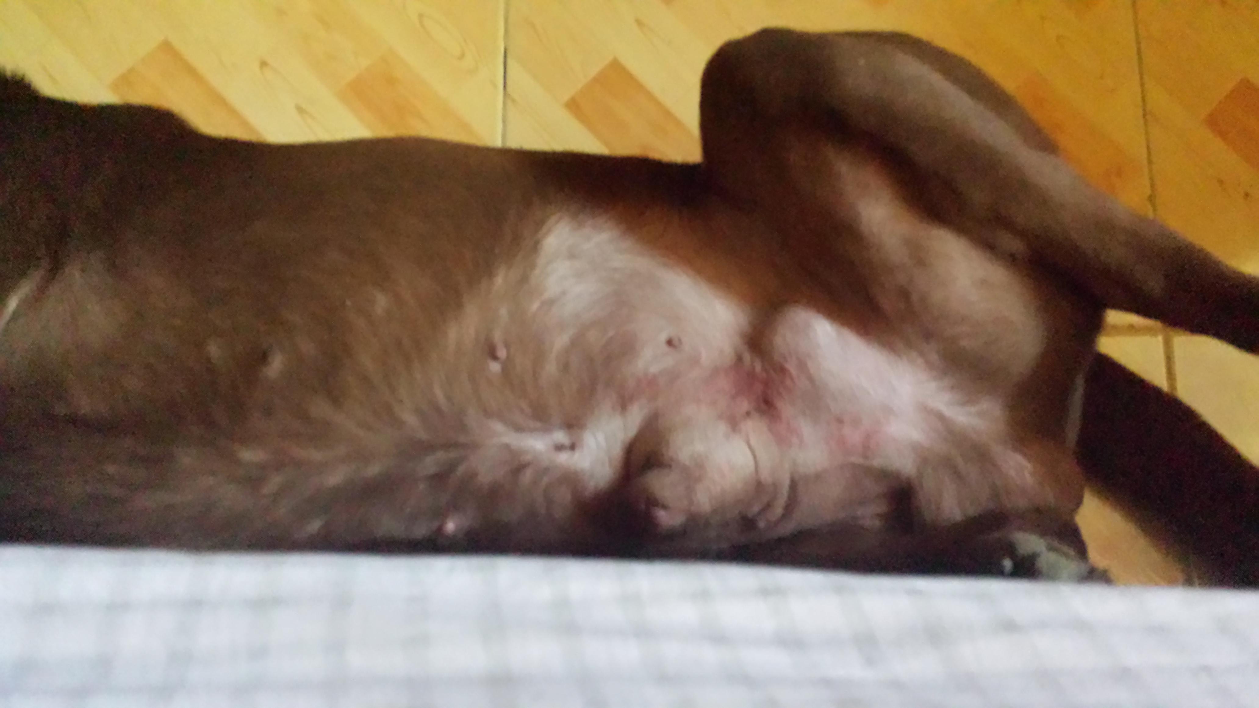 Question details sensitive content