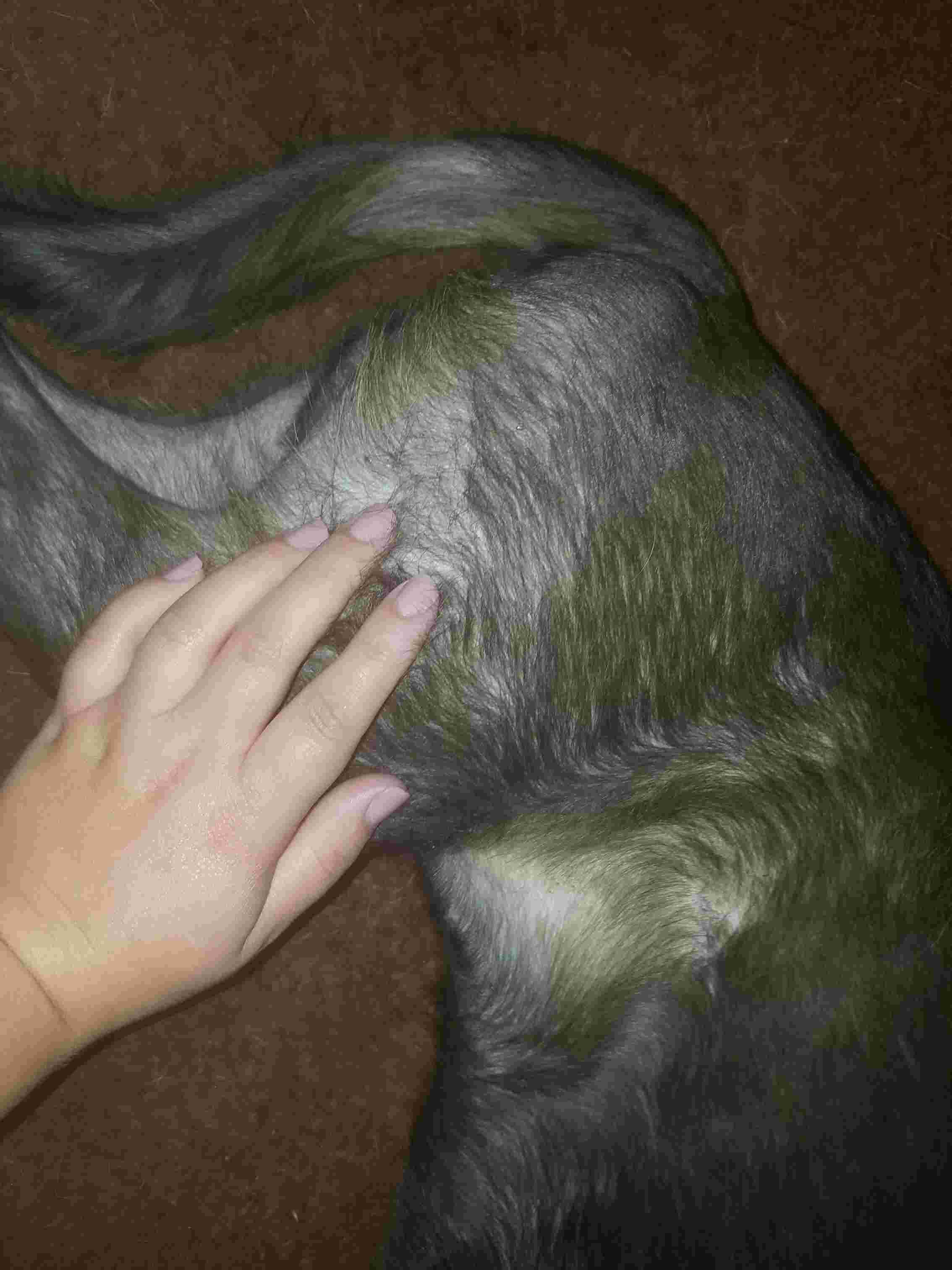 Question details sensitive content