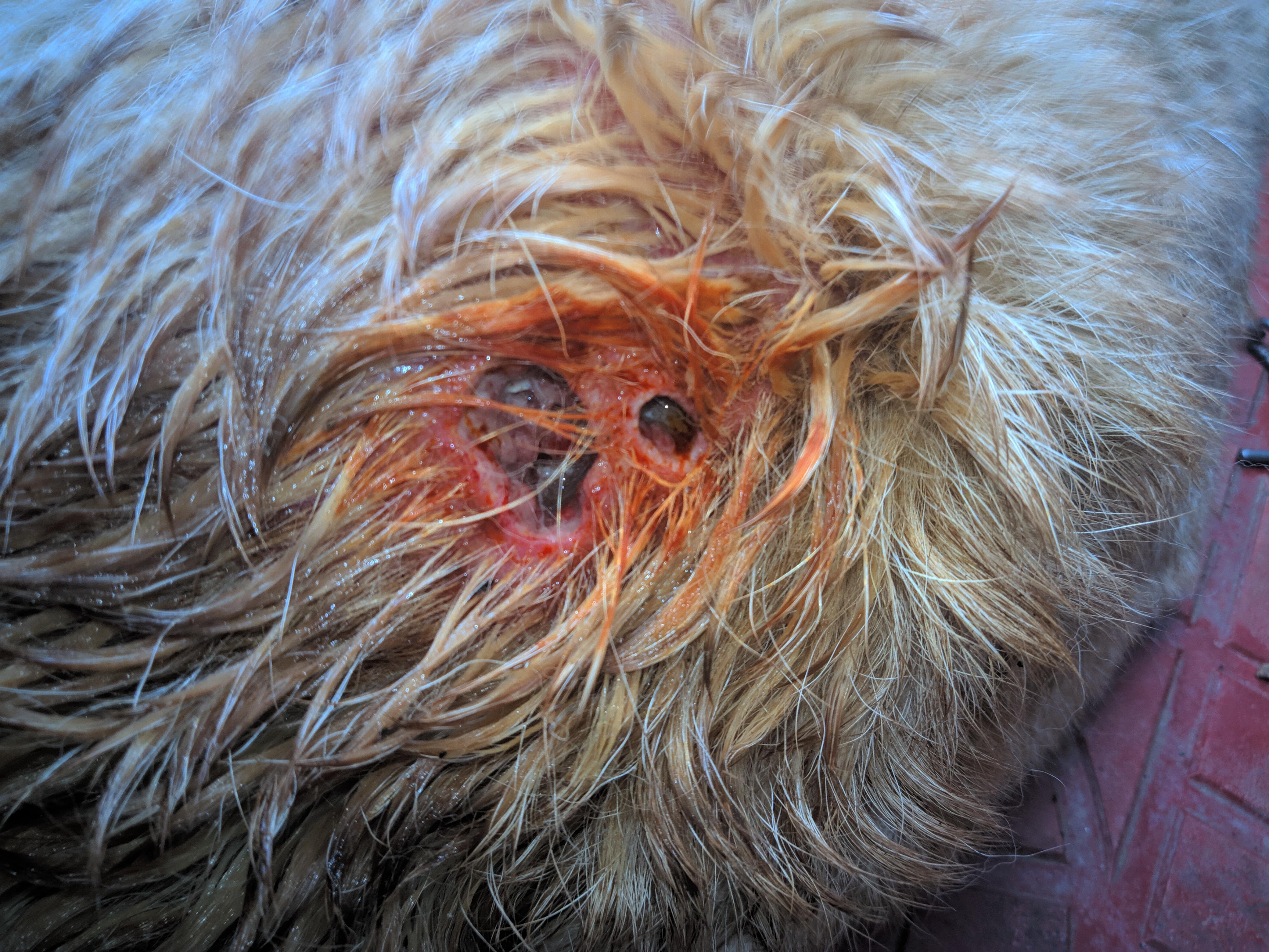 Question details sensitive content