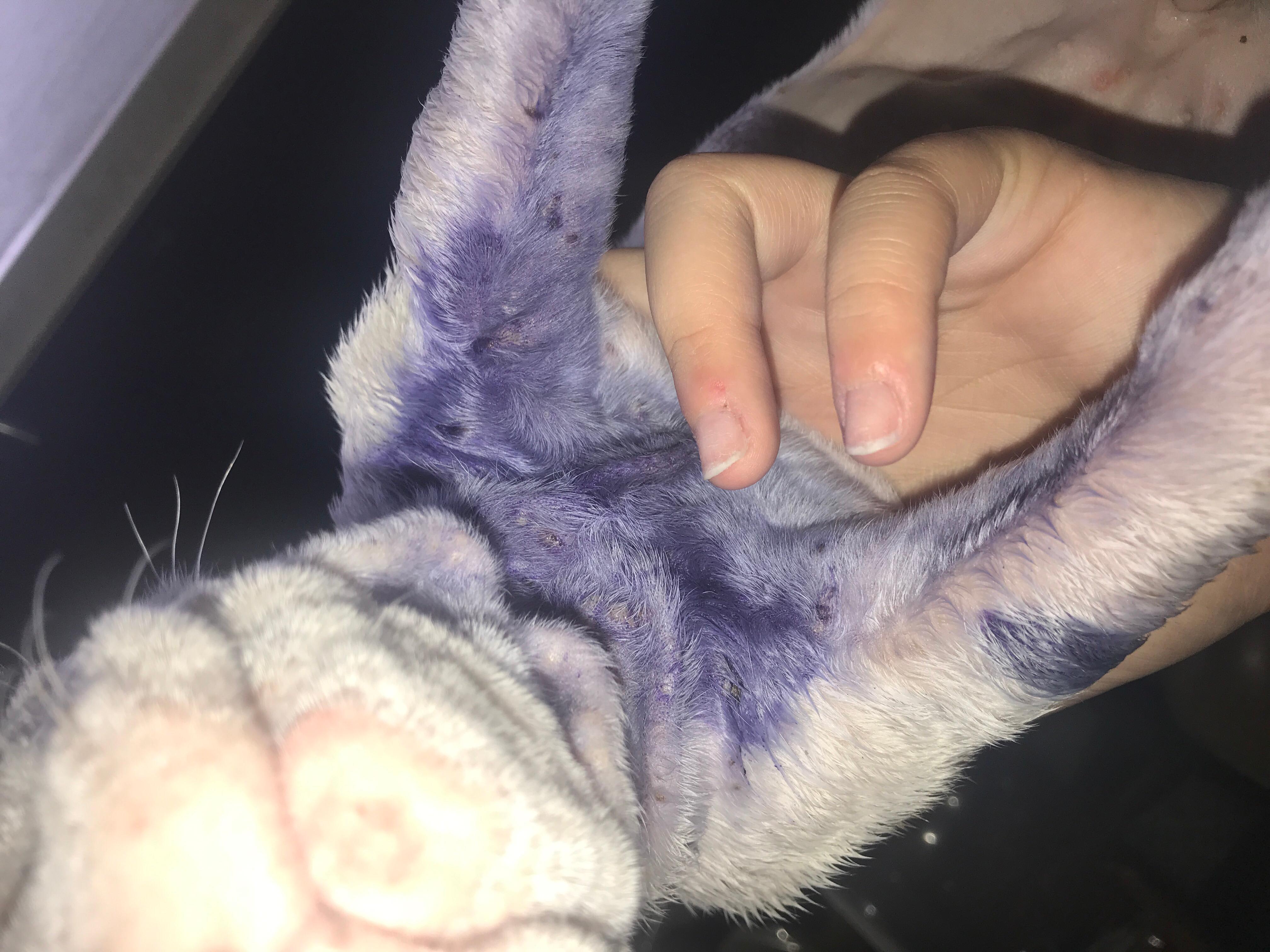 Question details sensitive content