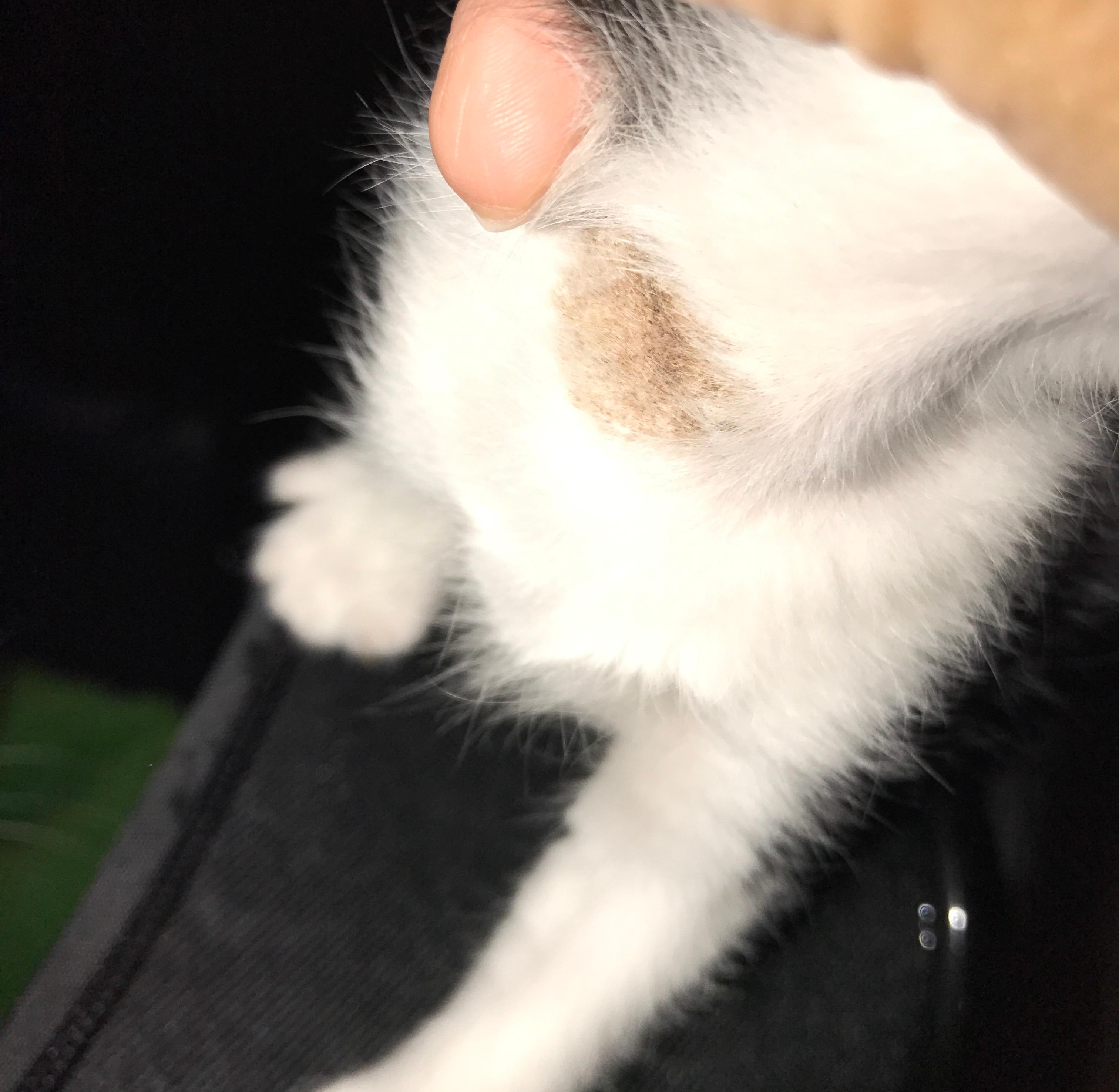 Question details sensitive content