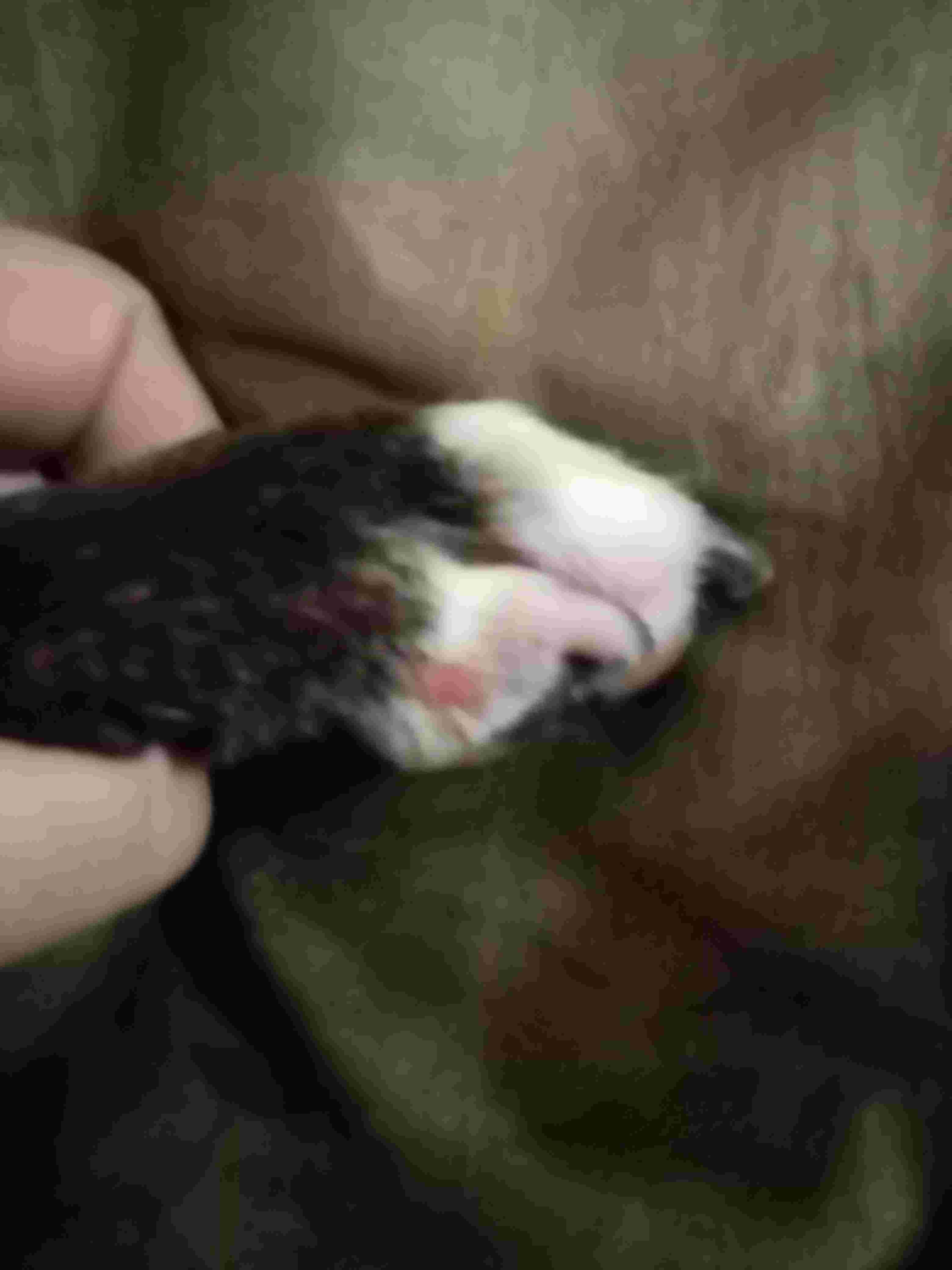 Question details sensitive content