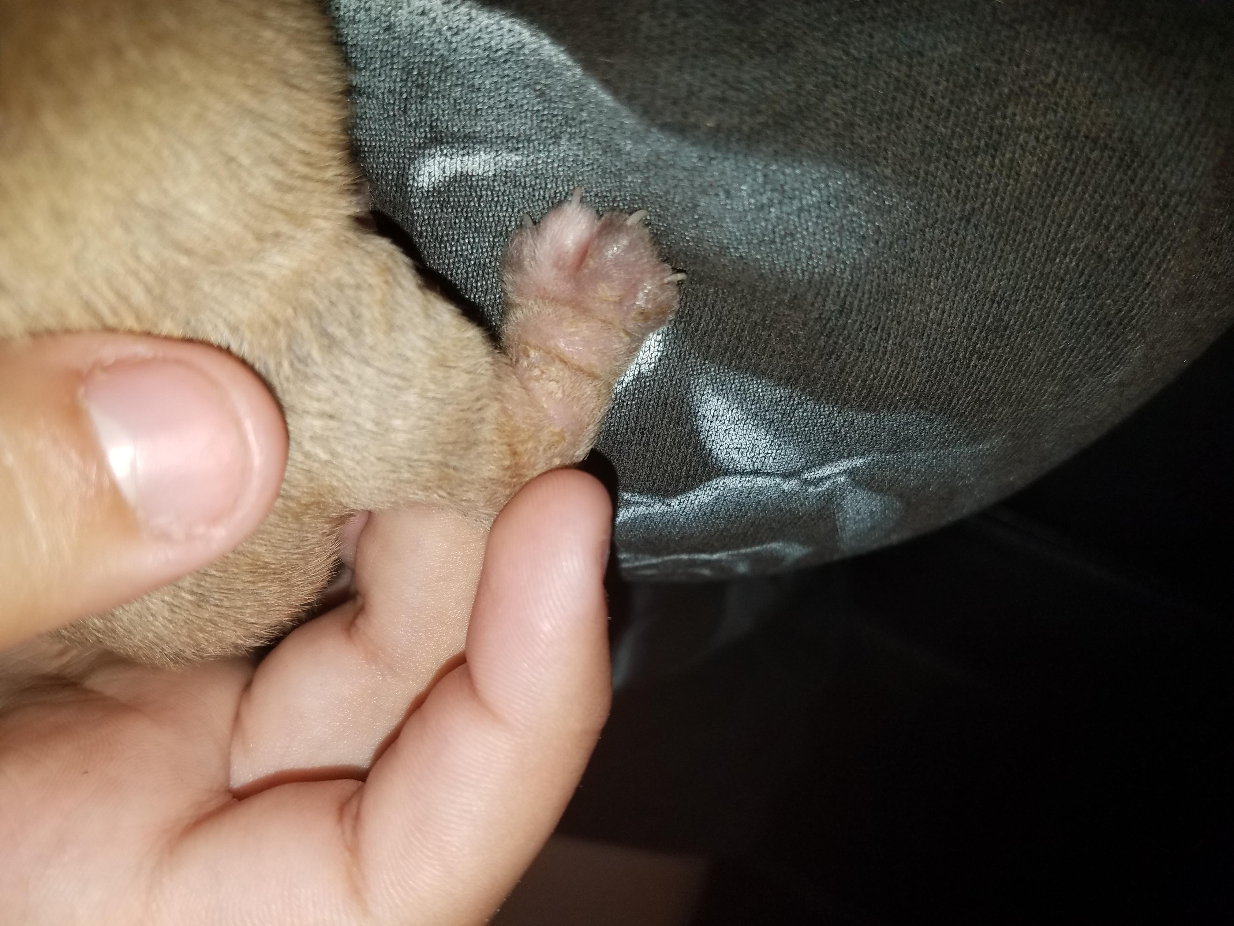 Question details sensitive content