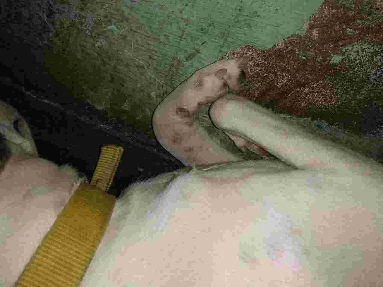 Question details sensitive content