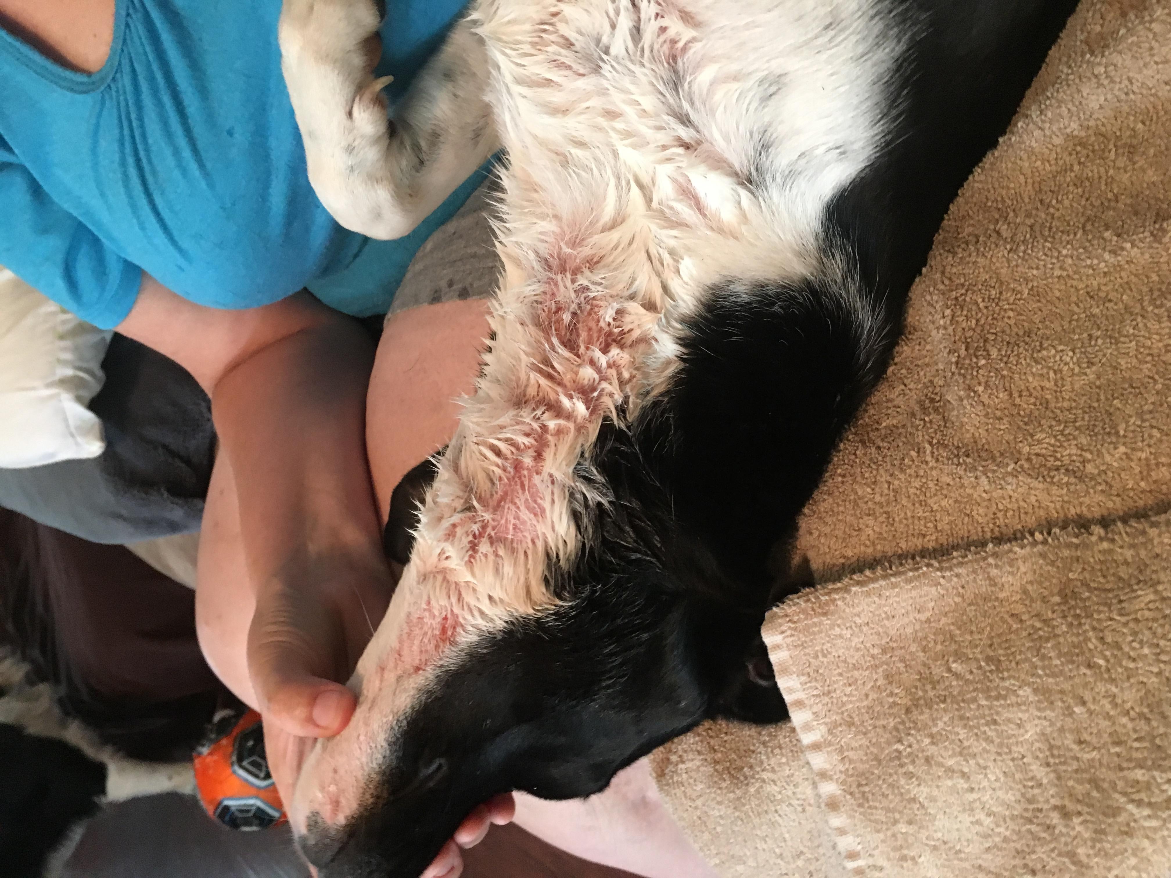 Question details sensitive content