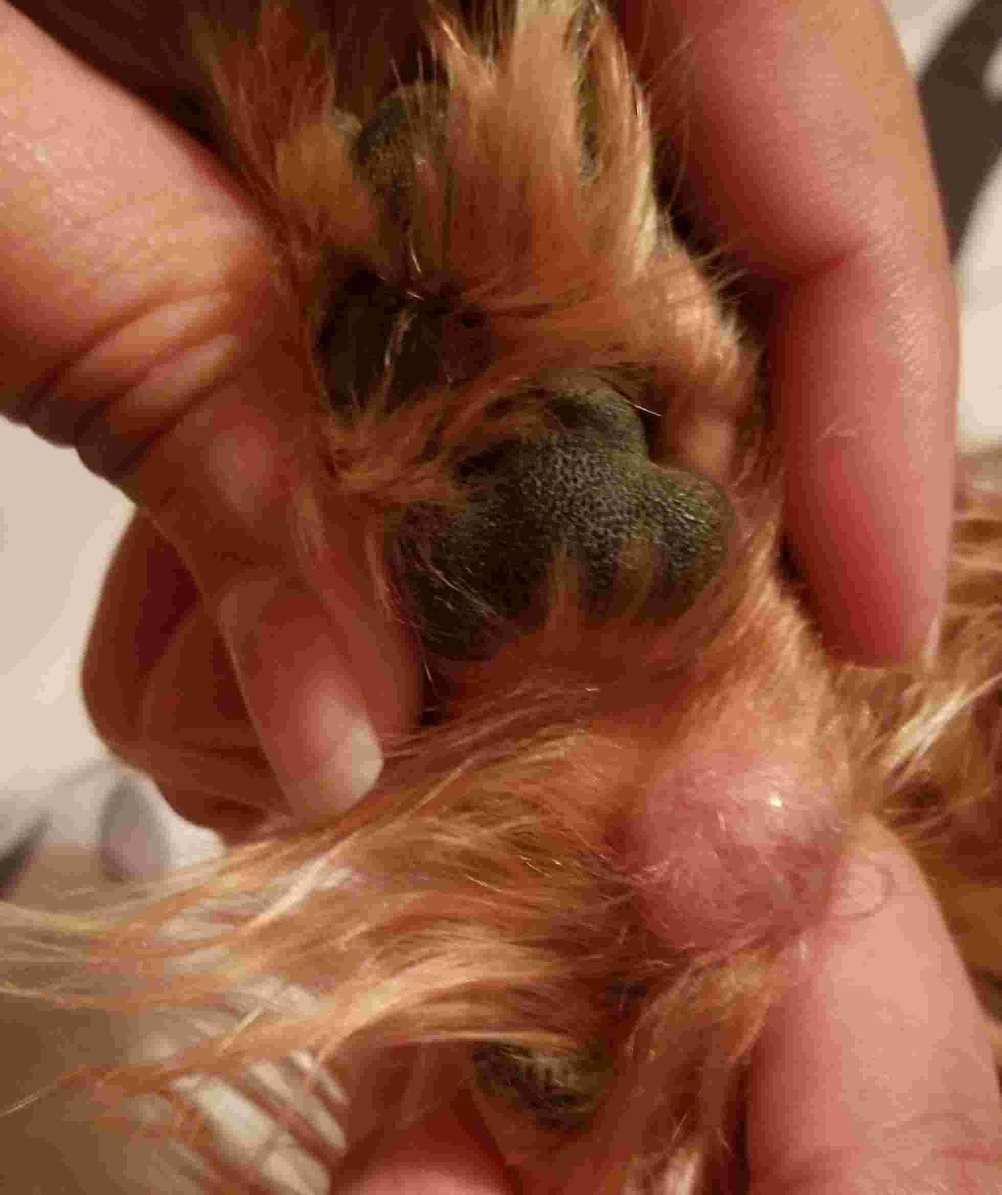 Question details sensitive content