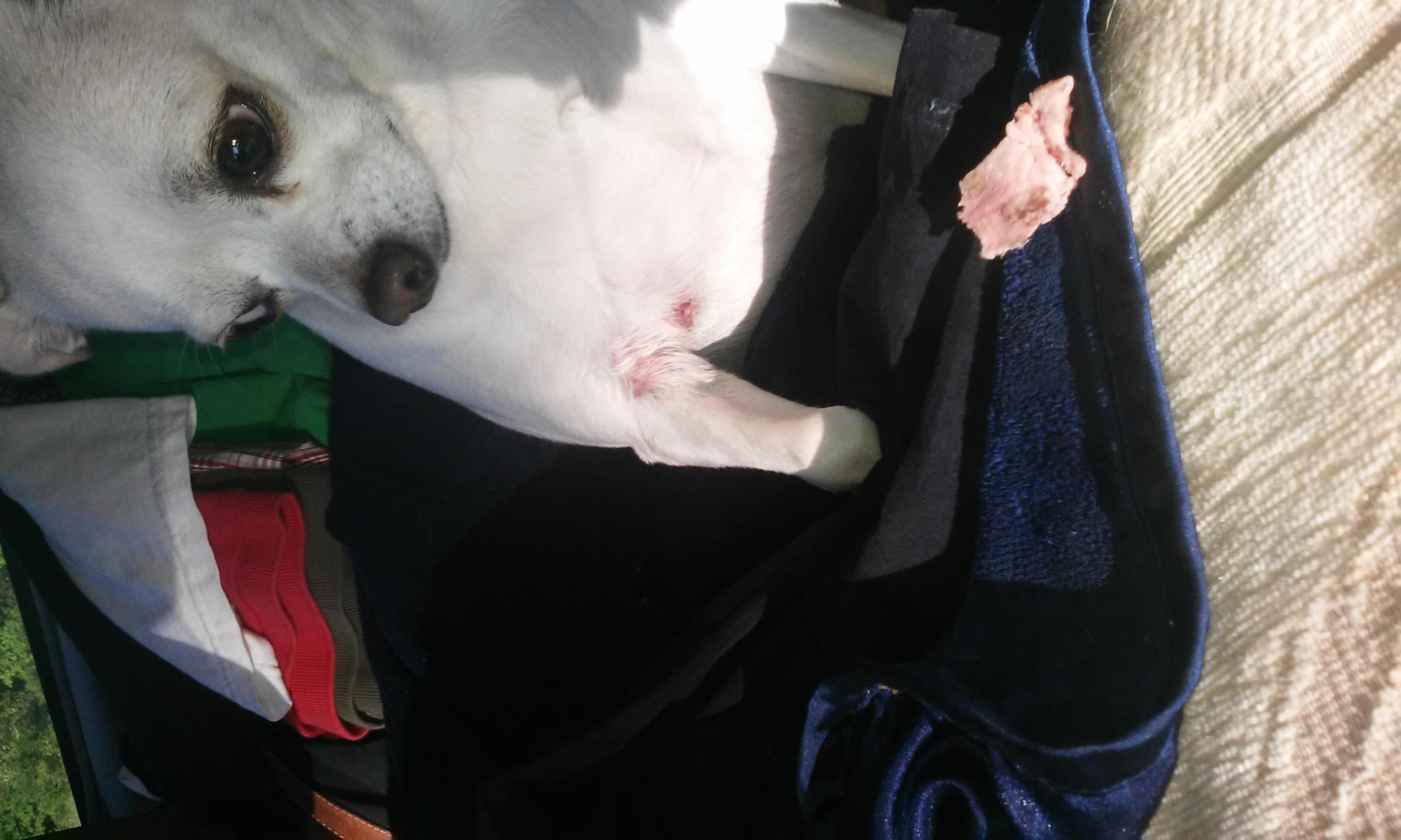 Question details sensitive content