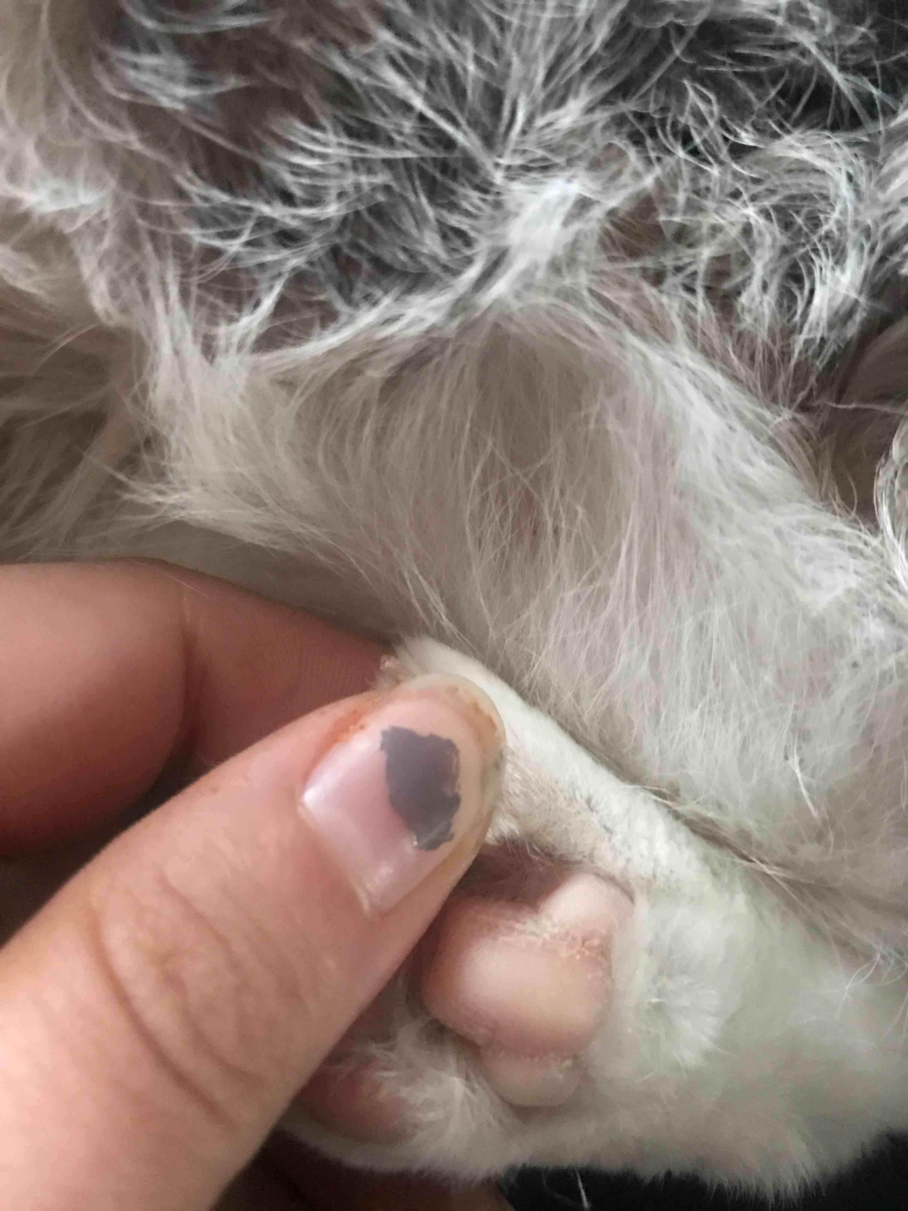 Question details sensitive content