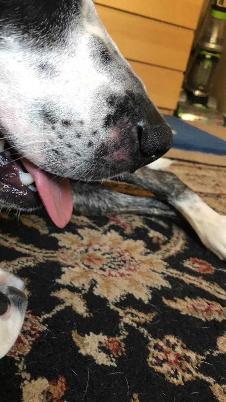 Question details sensitive content