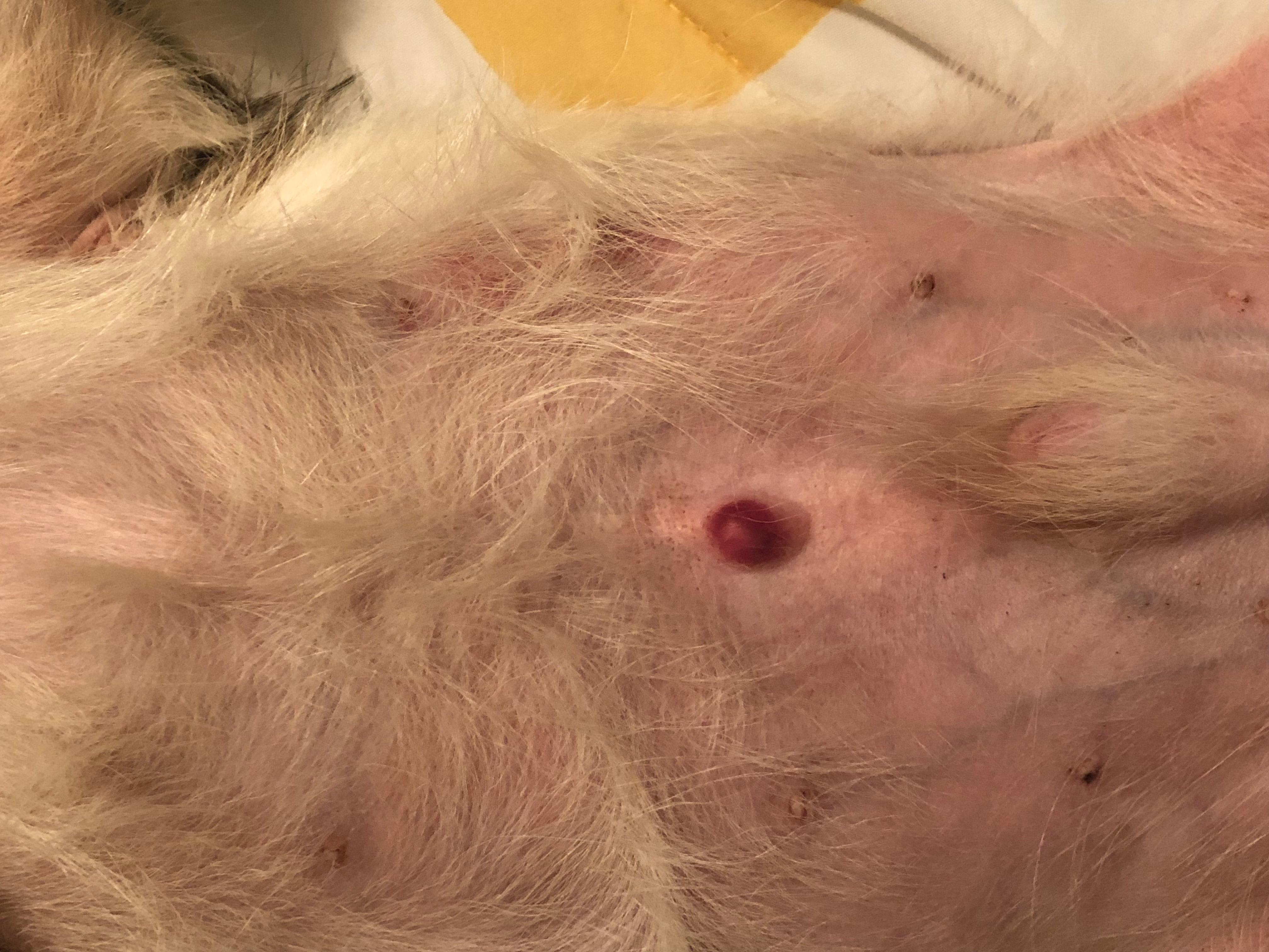 Question details sensitive content