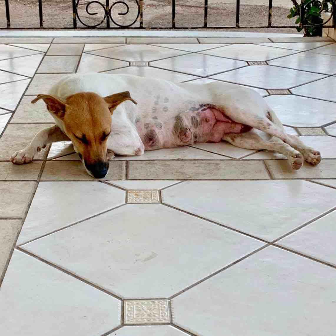 Question details sensitive content