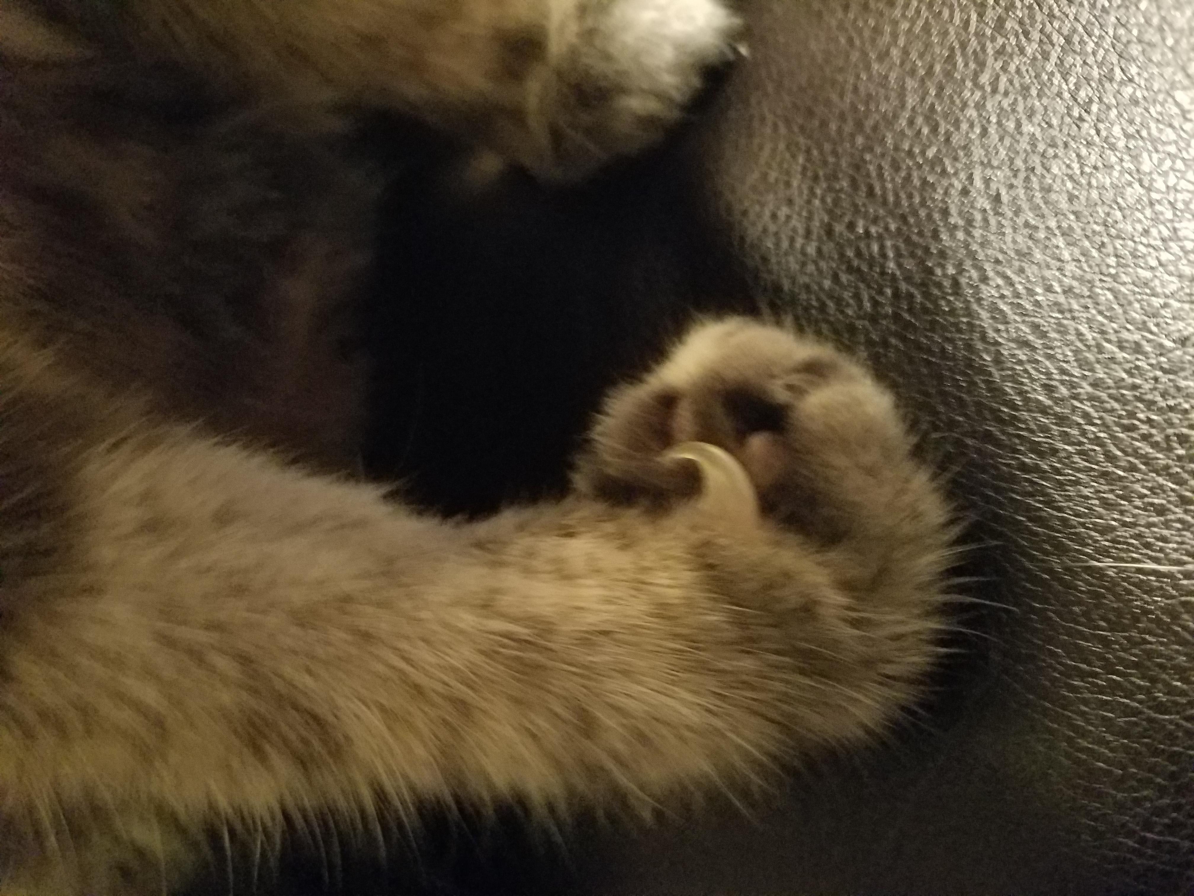 Question details sensitive content