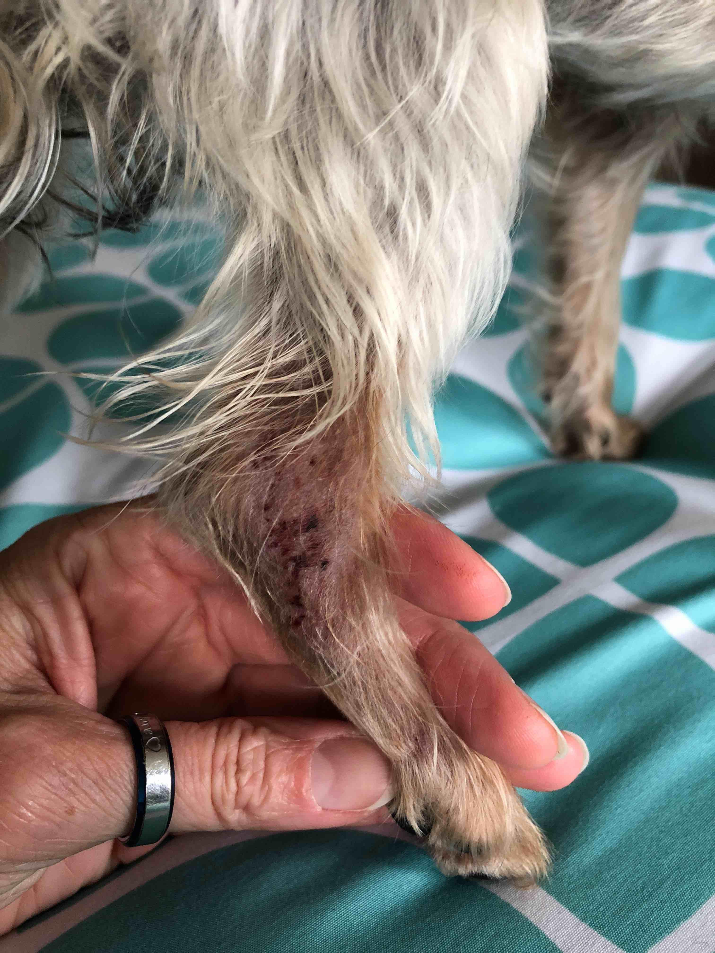 Question details sensitive content