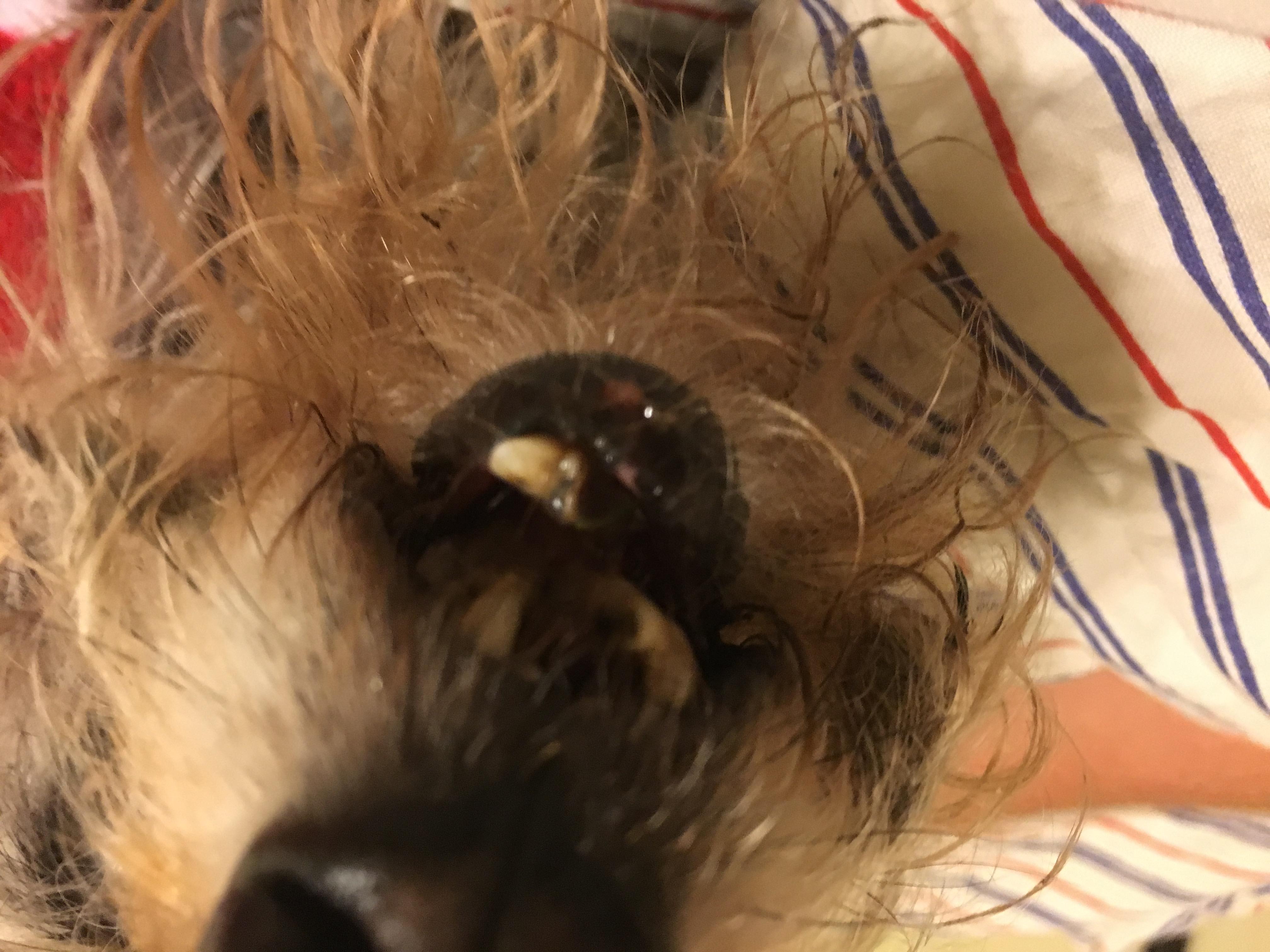 Question details sensitive content