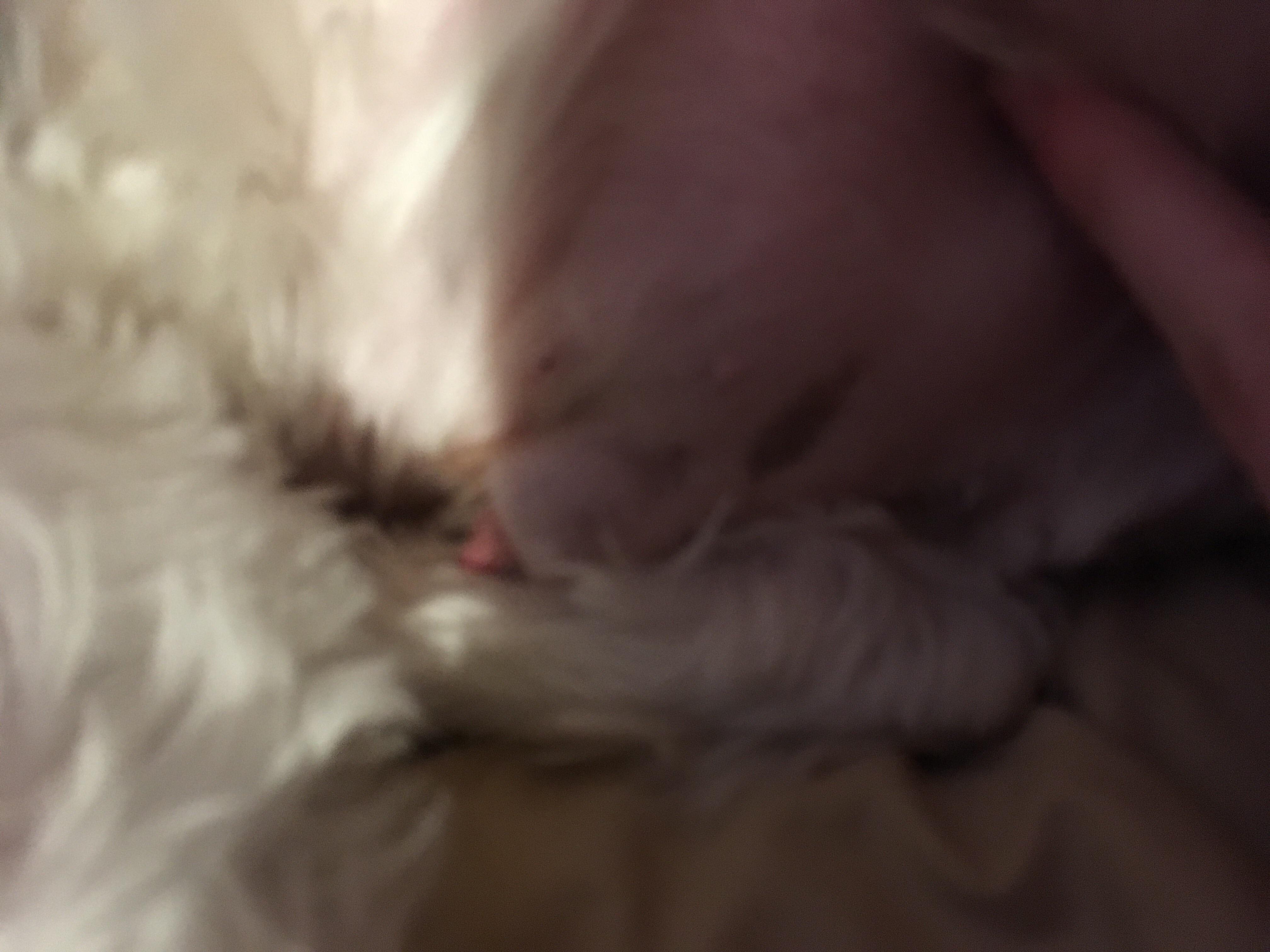 Question details sensitive content