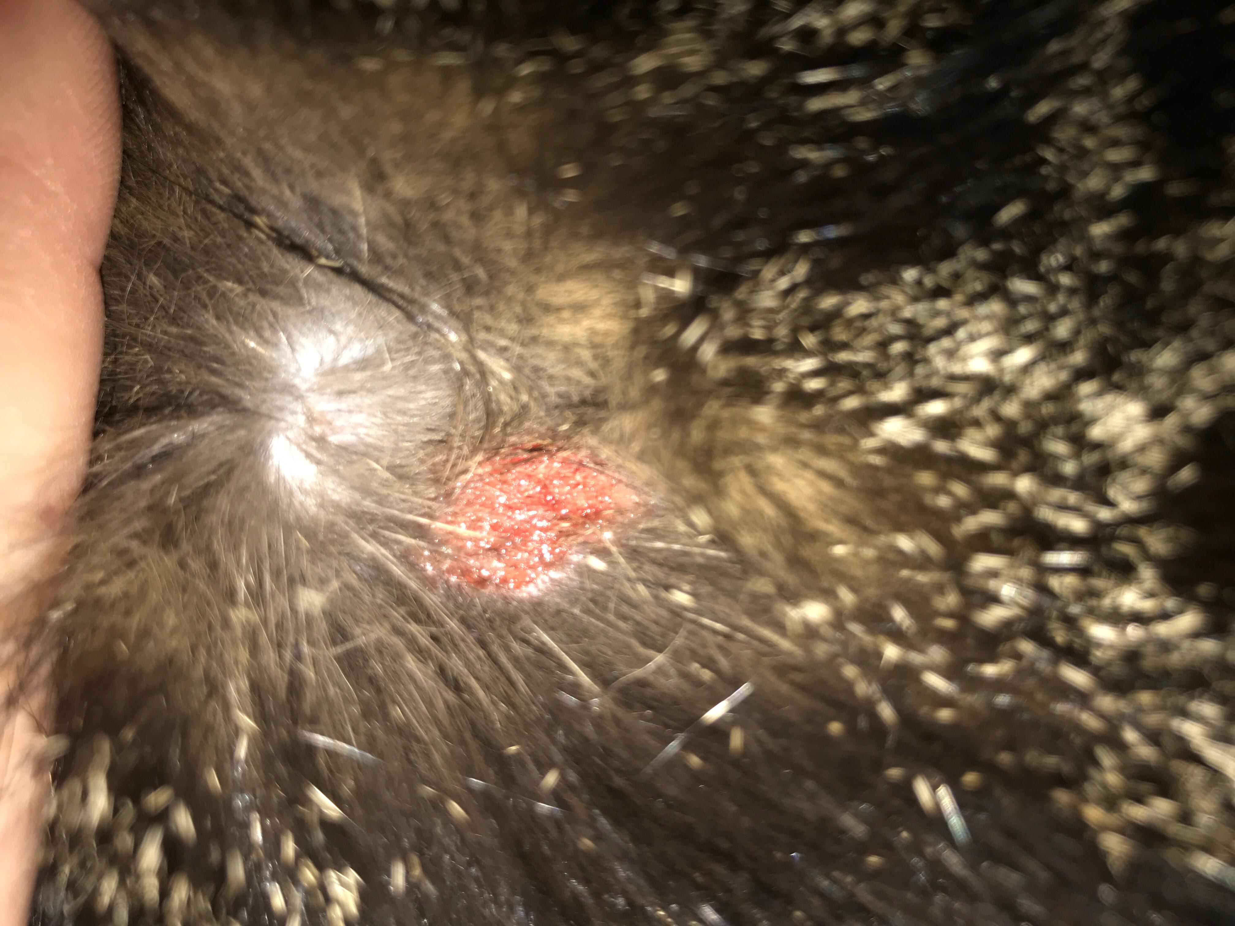 Question details sensitive content